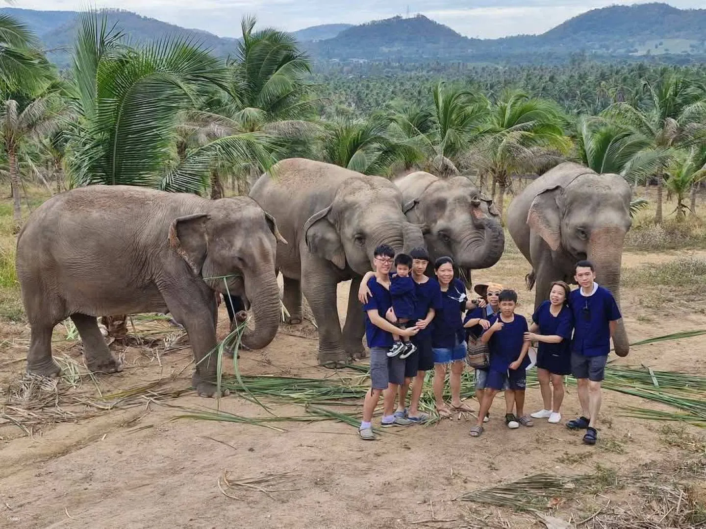 Pattaya City Tours - Pattaya: Ethical Elephant Sanctuary Day Experience w/ Lunch - Image 8