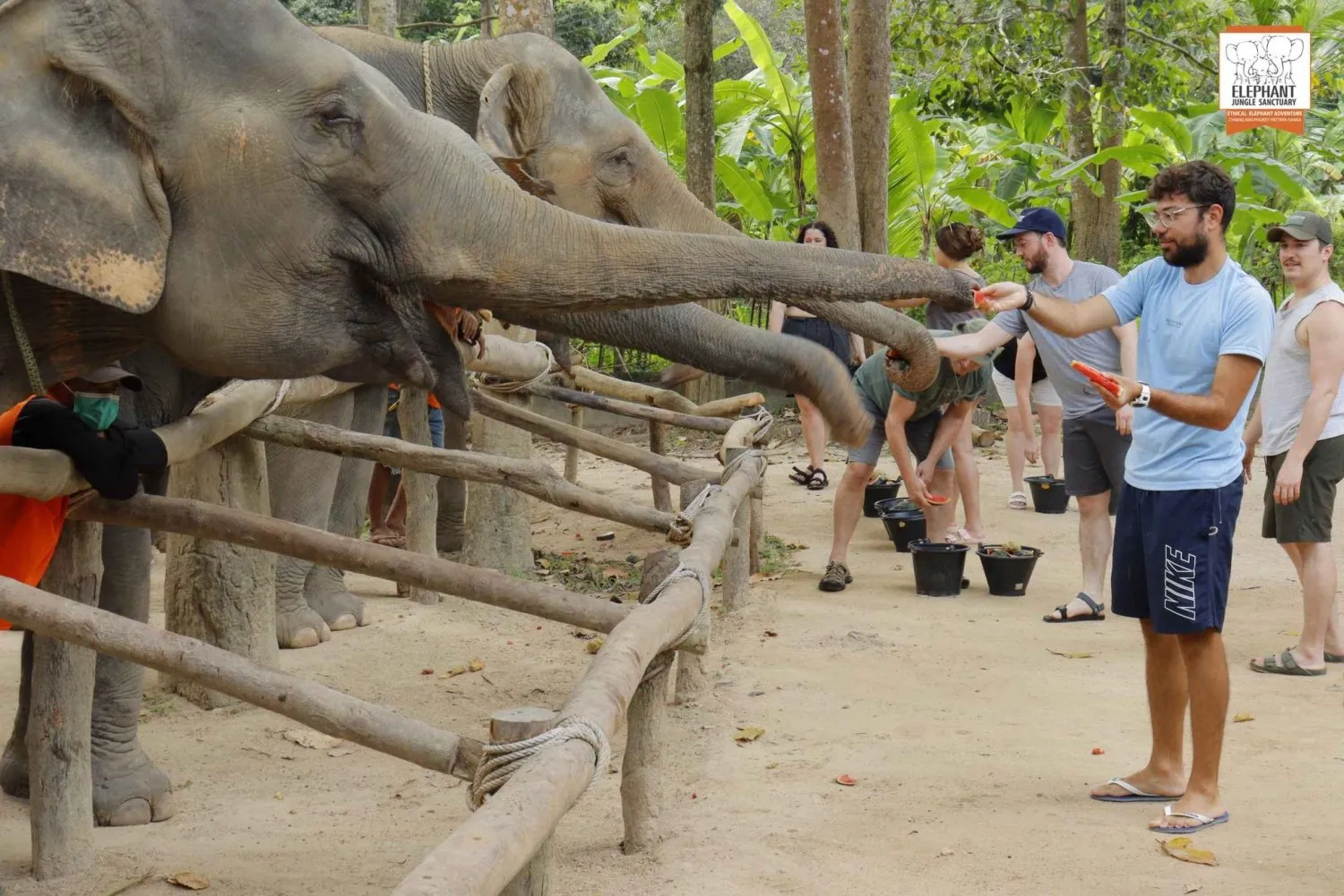 Pattaya City Tours - Pattaya: Ethical Elephant Sanctuary Day Experience w/ Lunch - Image 6
