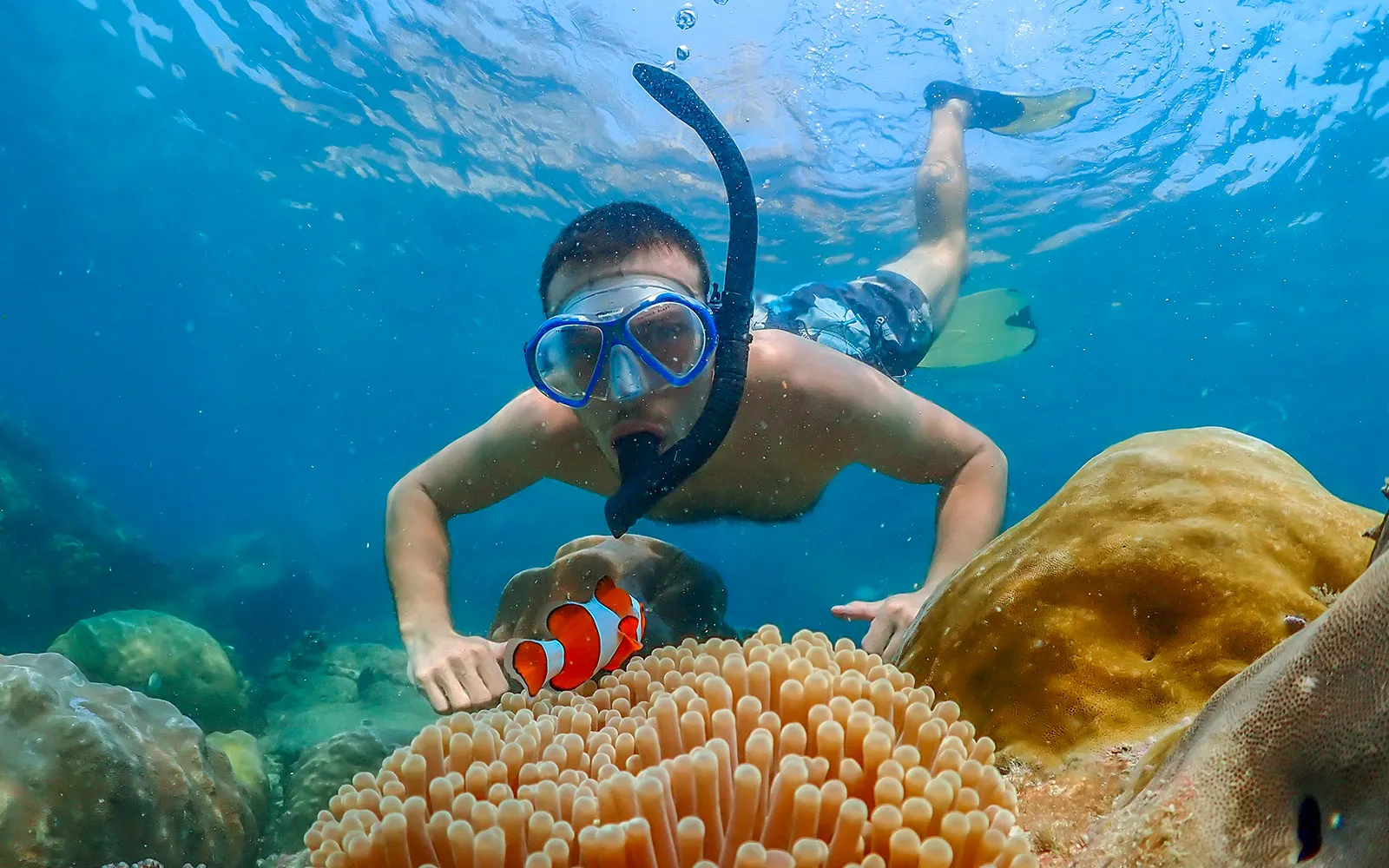 Pattaya City Tours - Pattaya: Beginner Scuba Diving and Snorkeling Experience - Image 6