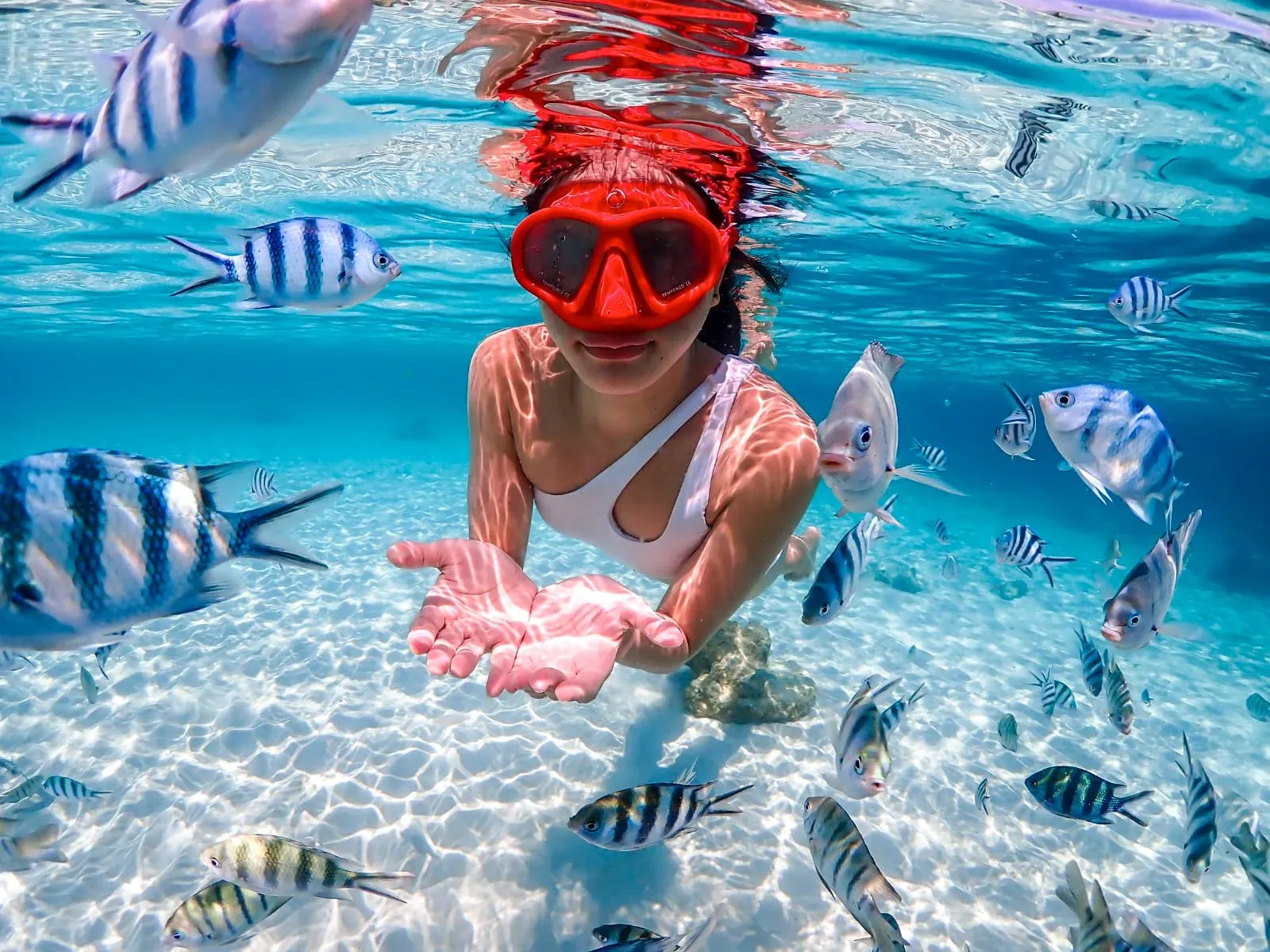 Pattaya: Beginner Scuba Diving and Snorkeling Experience