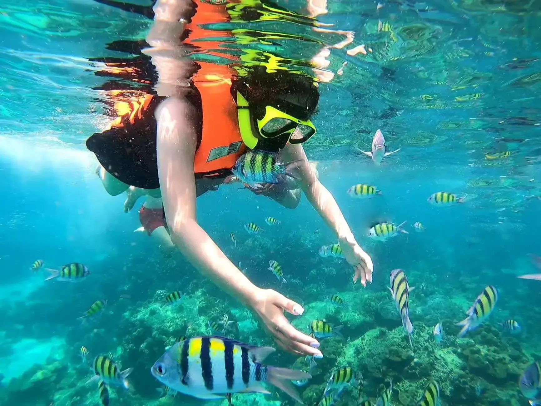 Ao Nang Tours - Phuket: Phi Phi Islands Day Cruise with Maya Bay & Lunch - Image 12