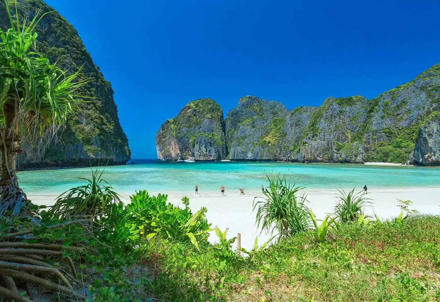 Ao Nang Tours - Phuket: Phi Phi Islands Day Cruise with Maya Bay & Lunch - Image 7