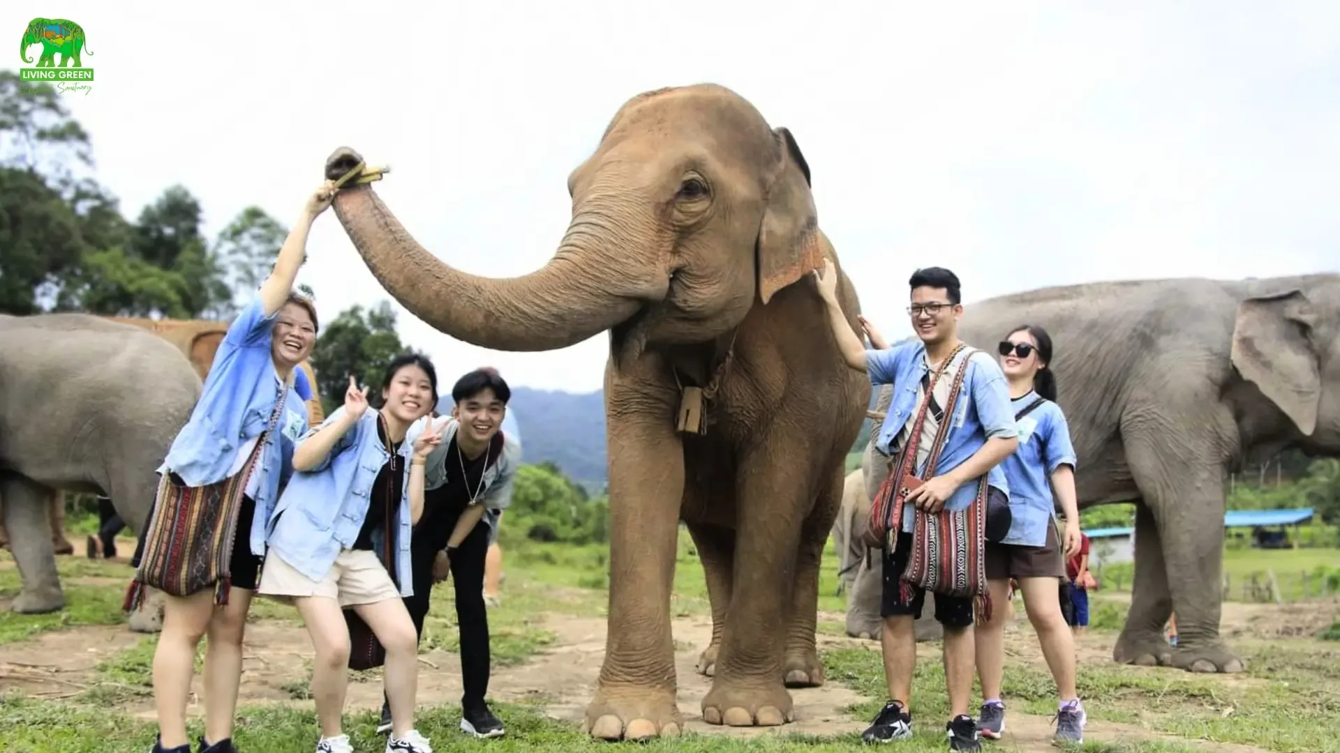 Chiang Mai Tours - Chiang Mai: Elephant Sanctuary, Waterfall & Rafting - Image 6
