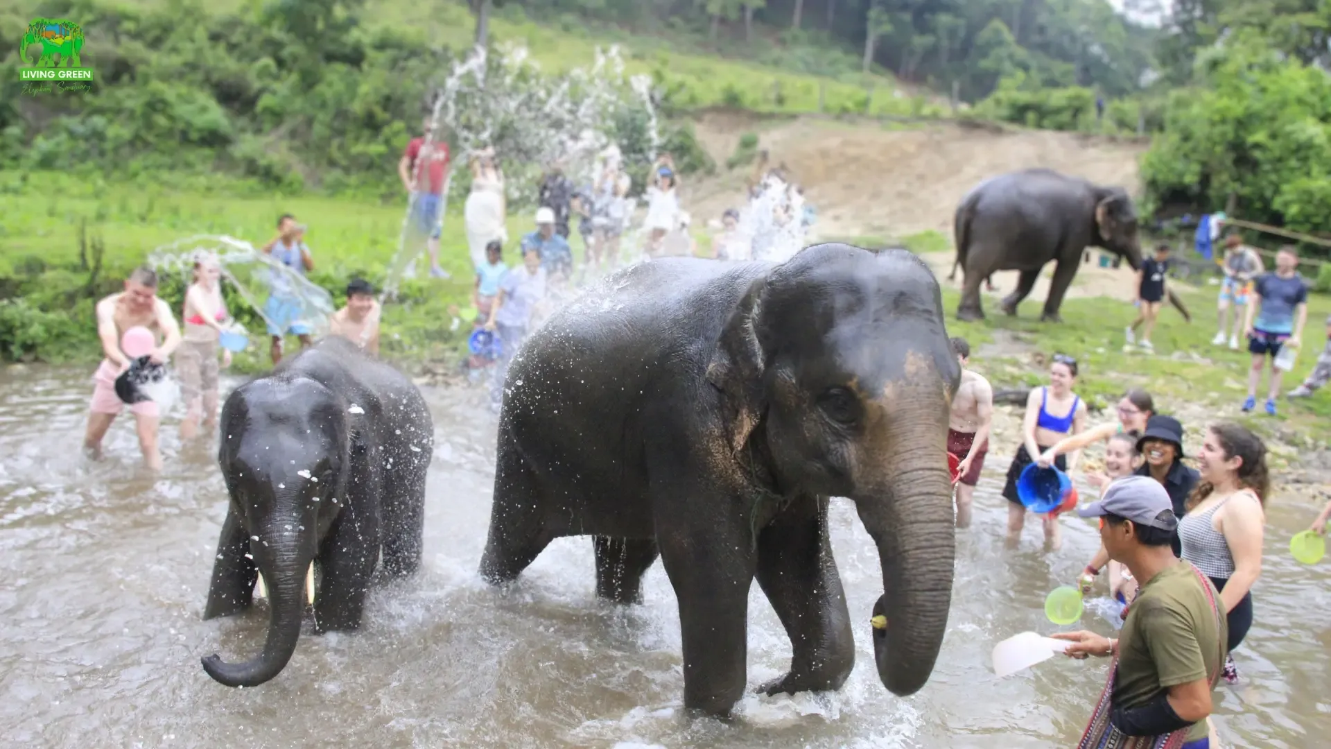 Chiang Mai Tours - Chiang Mai: Elephant Sanctuary, Waterfall & Rafting - Image 8