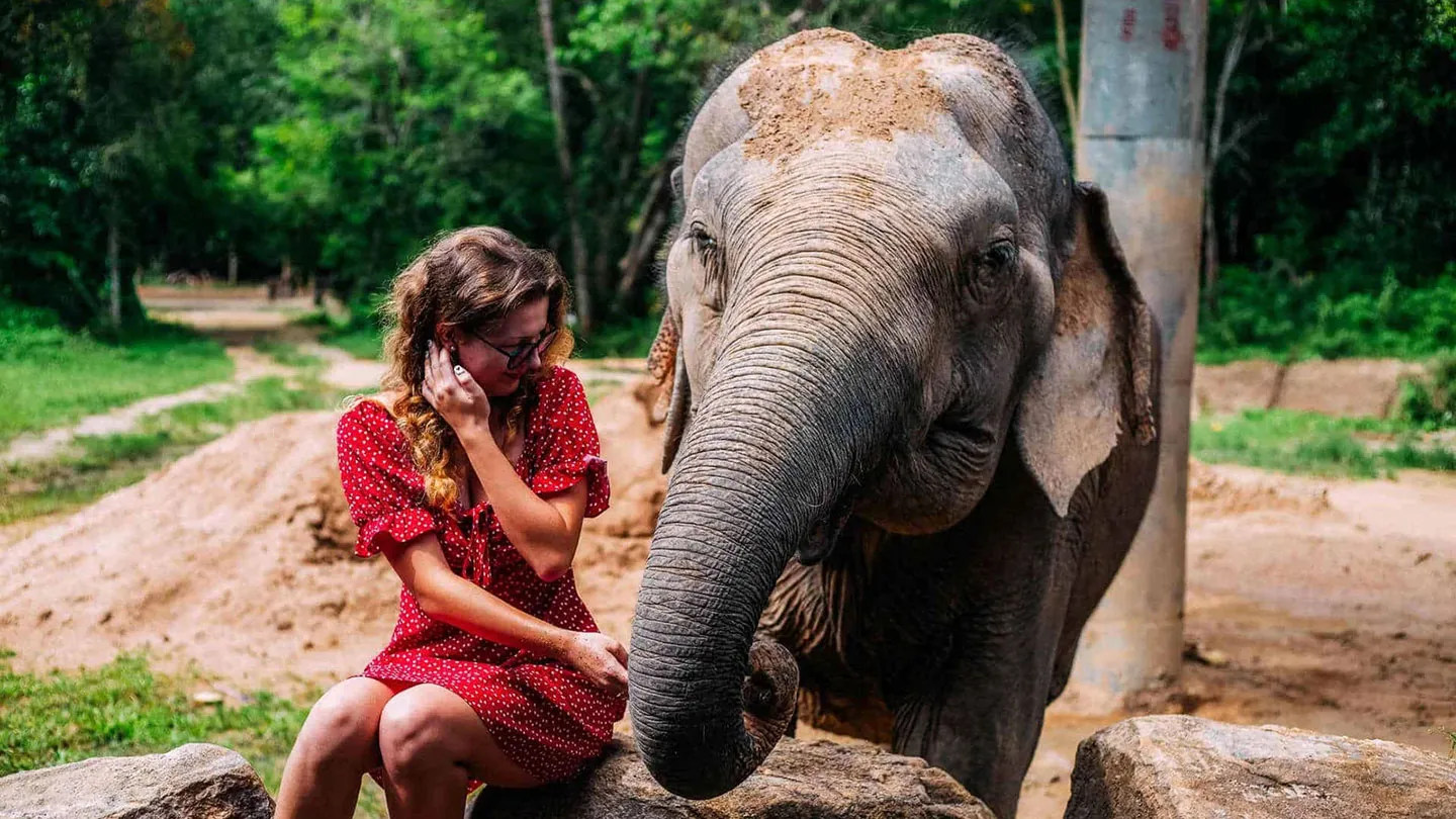 Chiang Mai Tours - Chiang Mai: Elephant Sanctuary, Waterfall & Rafting - Image 5