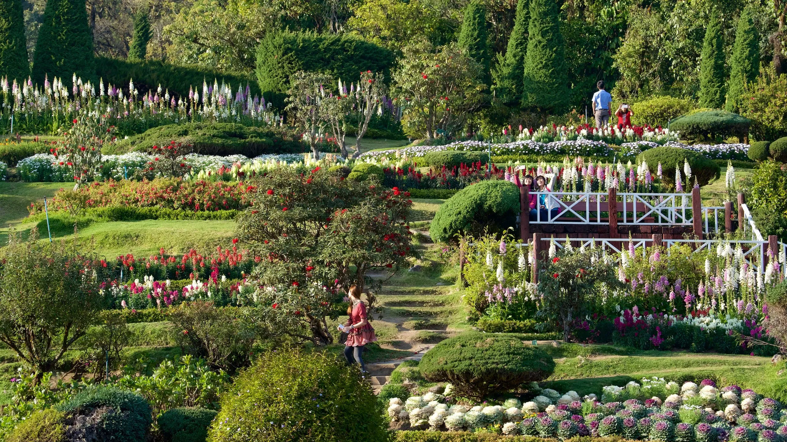 Chiang Mai Tours - Chiang Mai: Eco-Friendly Doi Inthanon National Park Tour - Image 8