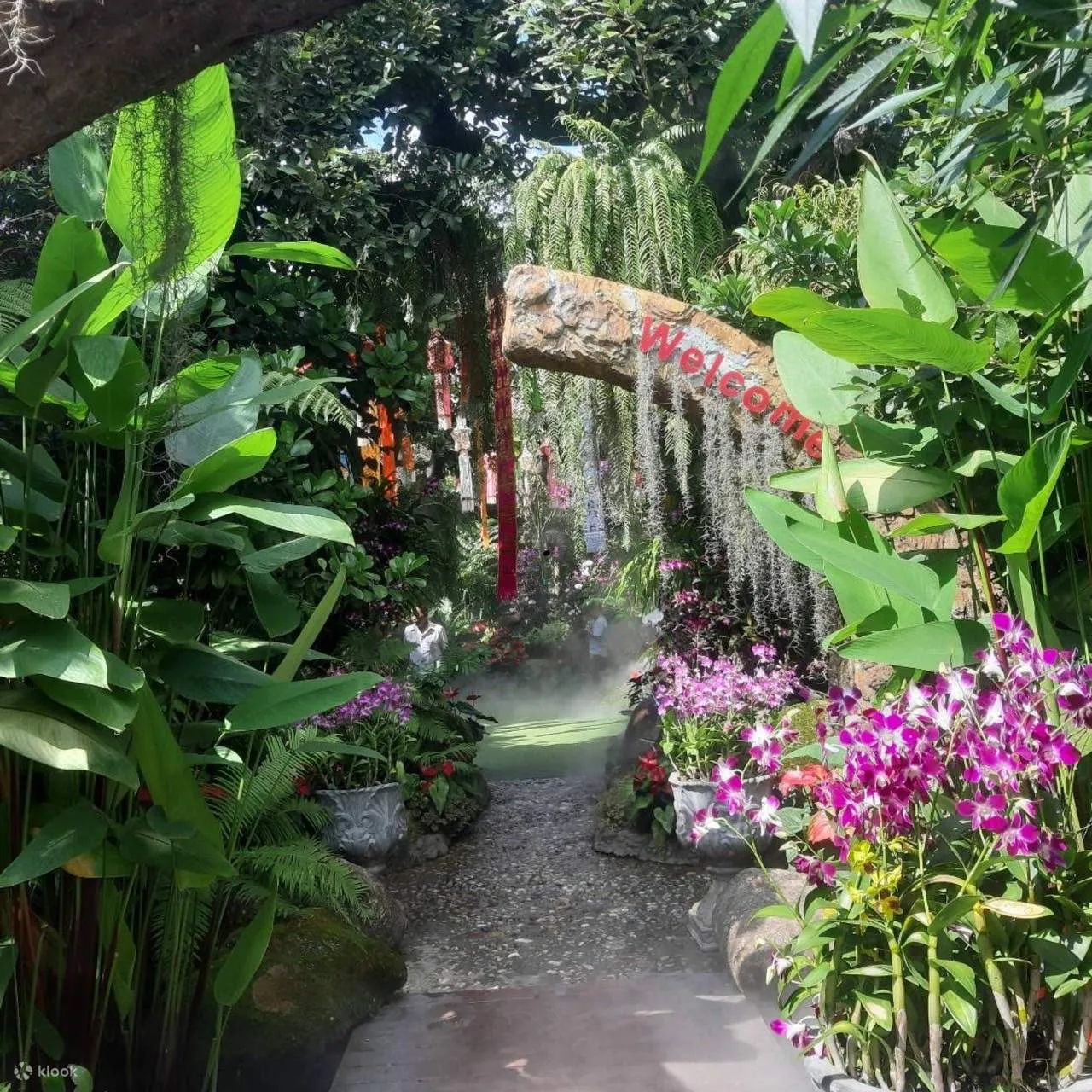 Chiang Mai Tours - Chiang Mai to Chiang Rai: Temples & Lalitta Café, Hot Spring - Image 19