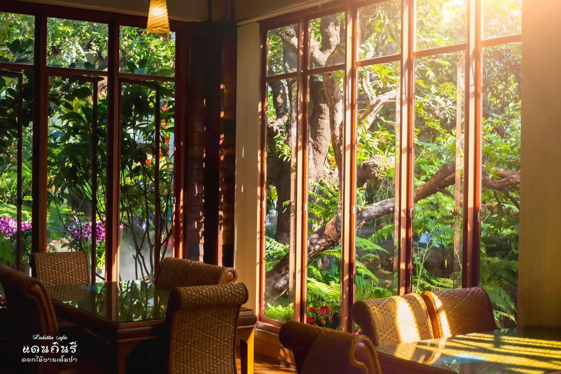 Chiang Mai Tours - Chiang Mai to Chiang Rai: Temples & Lalitta Café, Hot Spring - Image 12