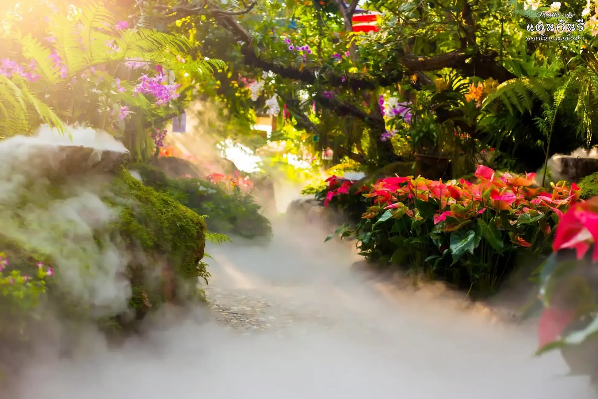 Chiang Mai Tours - Chiang Mai to Chiang Rai: Temples & Lalitta Café, Hot Spring - Image 9