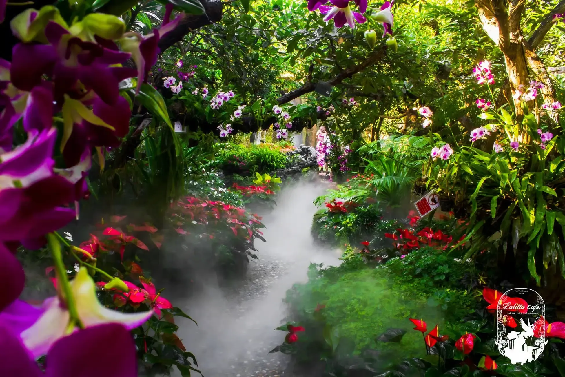 Chiang Mai Tours - Chiang Mai to Chiang Rai: Temples & Lalitta Café, Hot Spring - Image 13