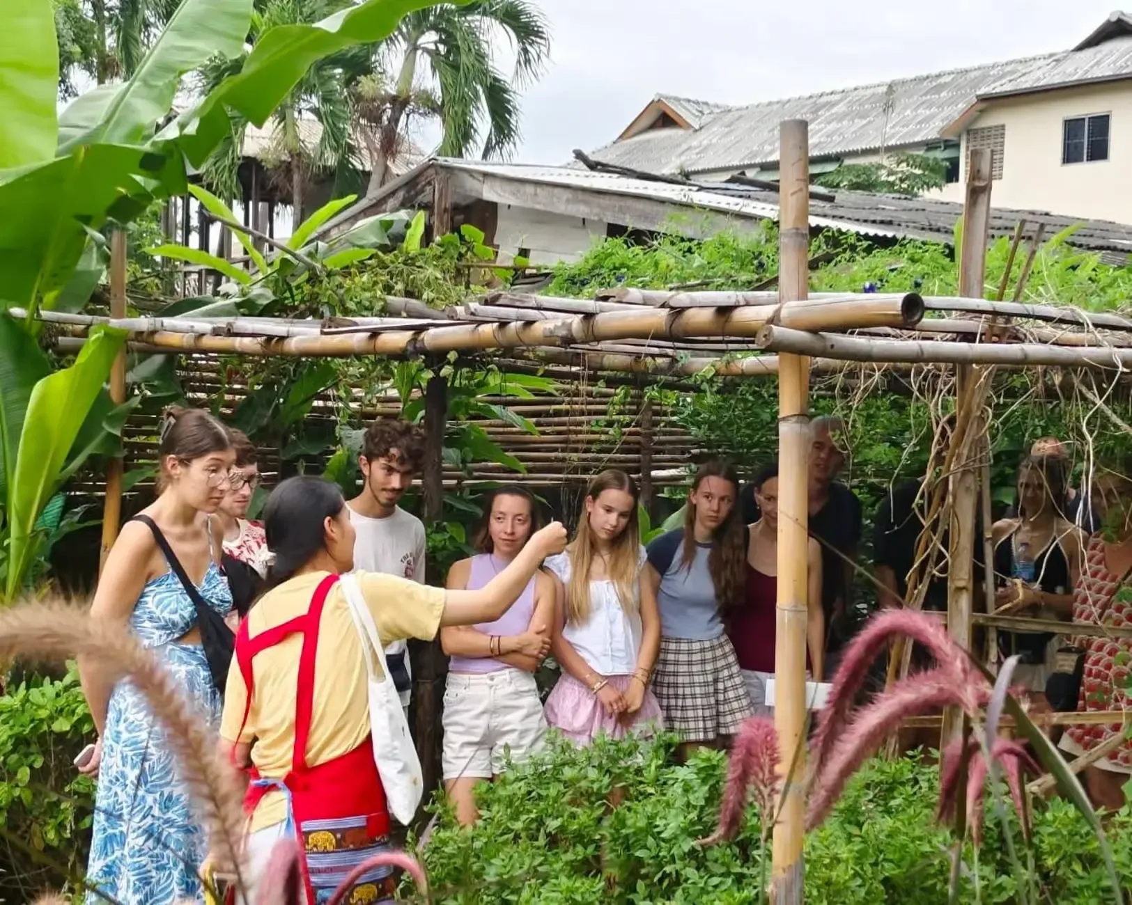 Chiang Mai Tours - Chiang Mai: Local Cooking Class & Organic Thai Garden Tour - Image 3