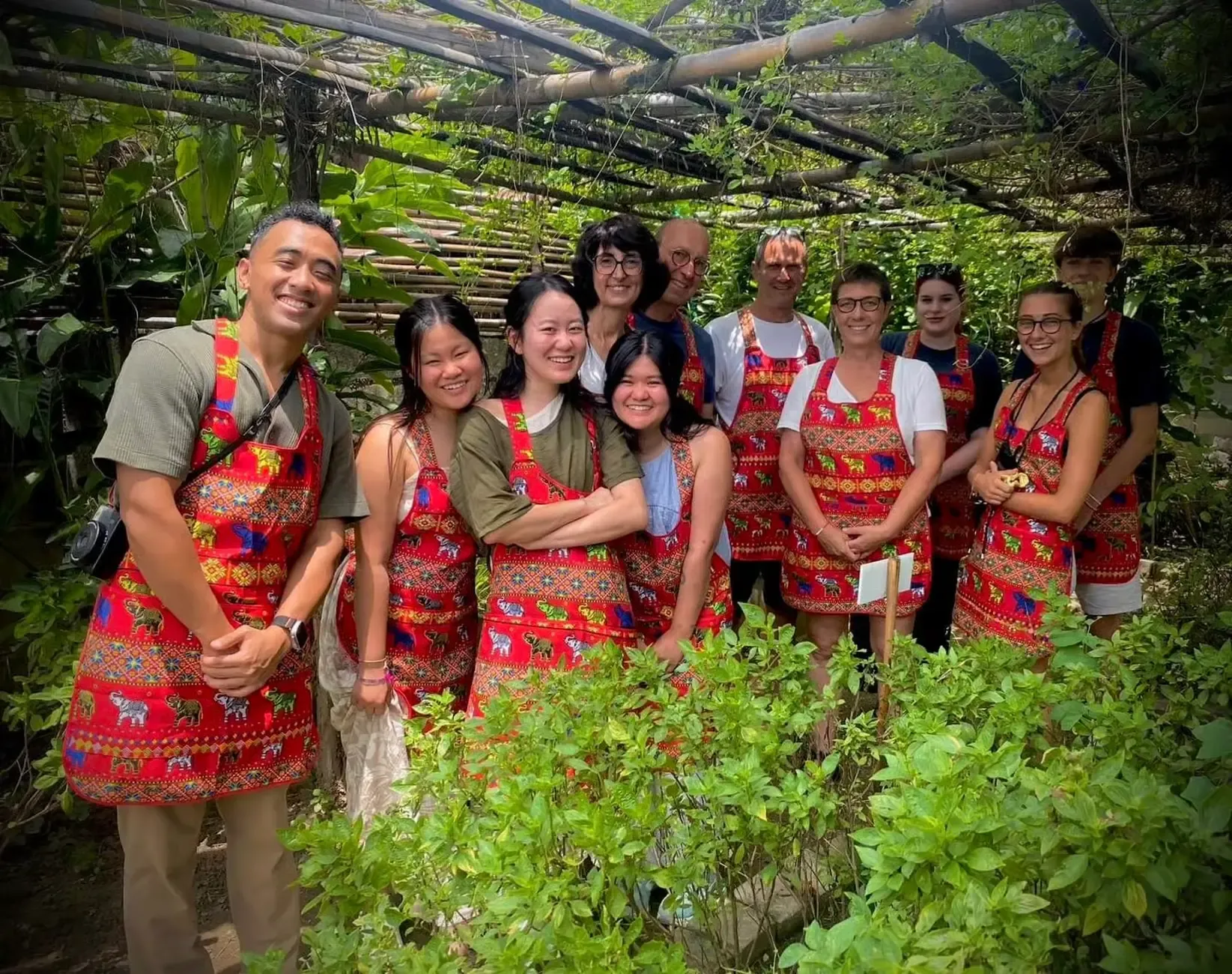 Chiang Mai Tours - Chiang Mai: Local Cooking Class & Organic Thai Garden Tour - Image 9