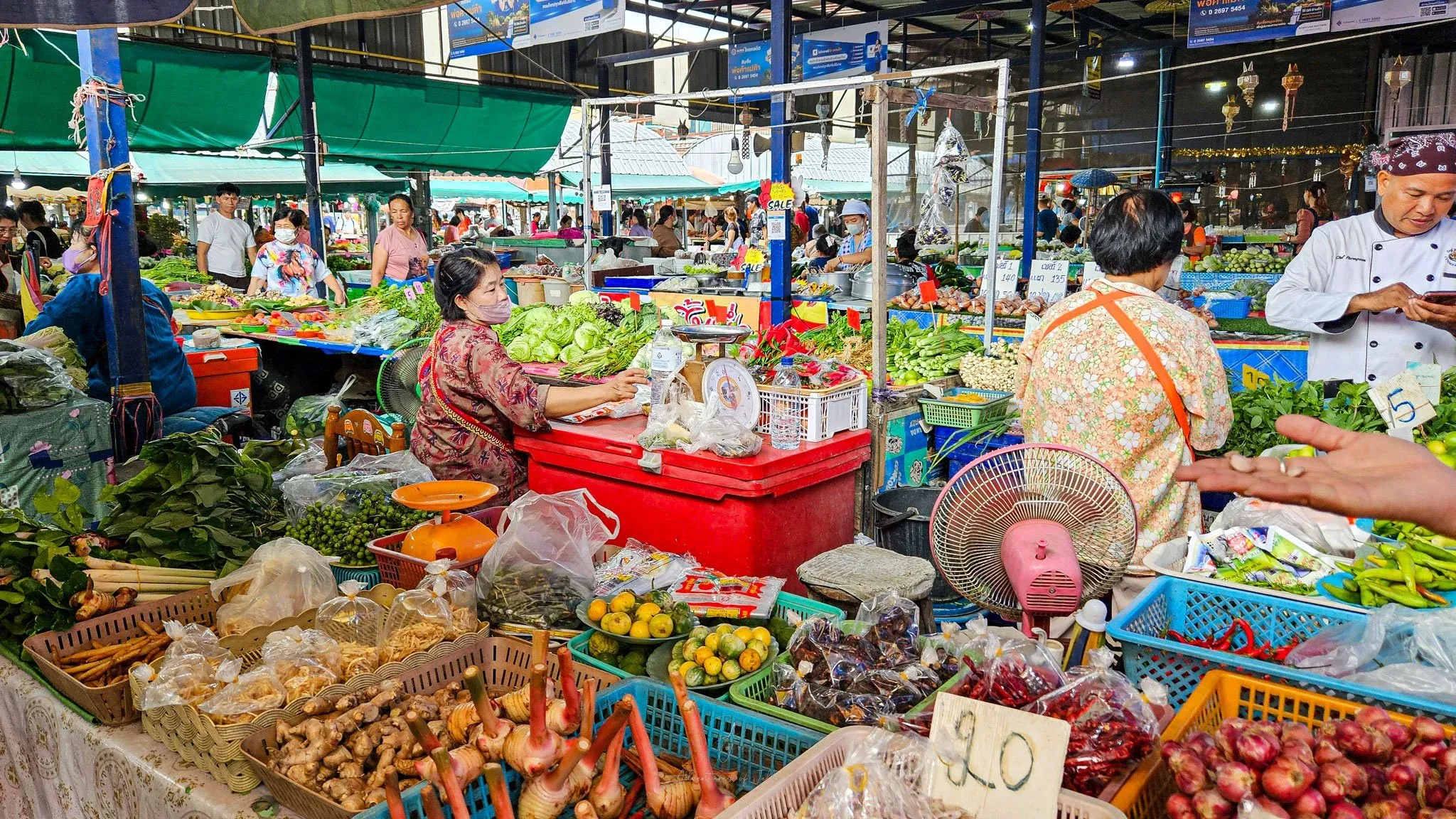 Chiang Mai Tours - Chiang Mai: Local Cooking Class & Organic Thai Garden Tour - Image 11