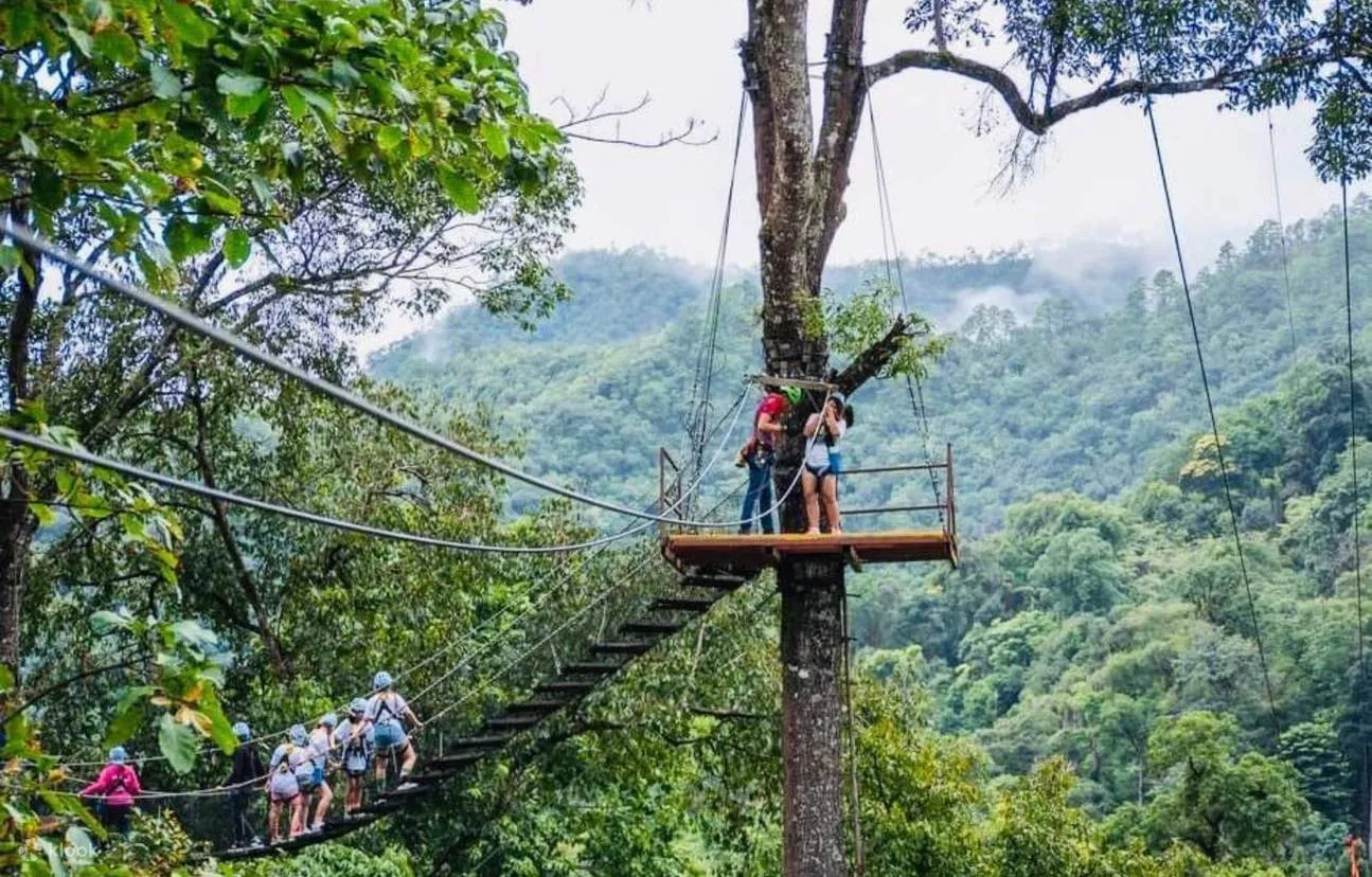 Chiang Mai Tours - Chiang Mai: Jungle Sky Adventure at Kingkong Smile Zipline - Image 9