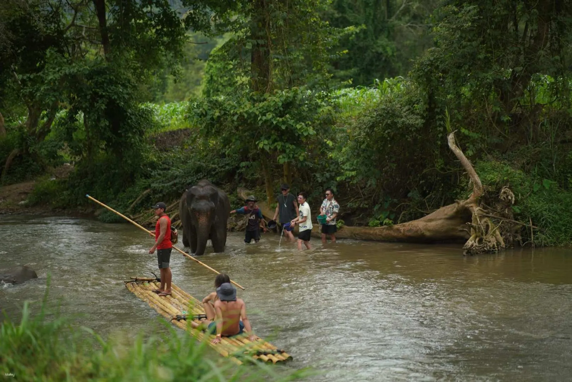 Chiang Mai Tours - Chiang Mai: ATV Jungle Ride, Secret Waterfall & Bamboo Raft - Image 7
