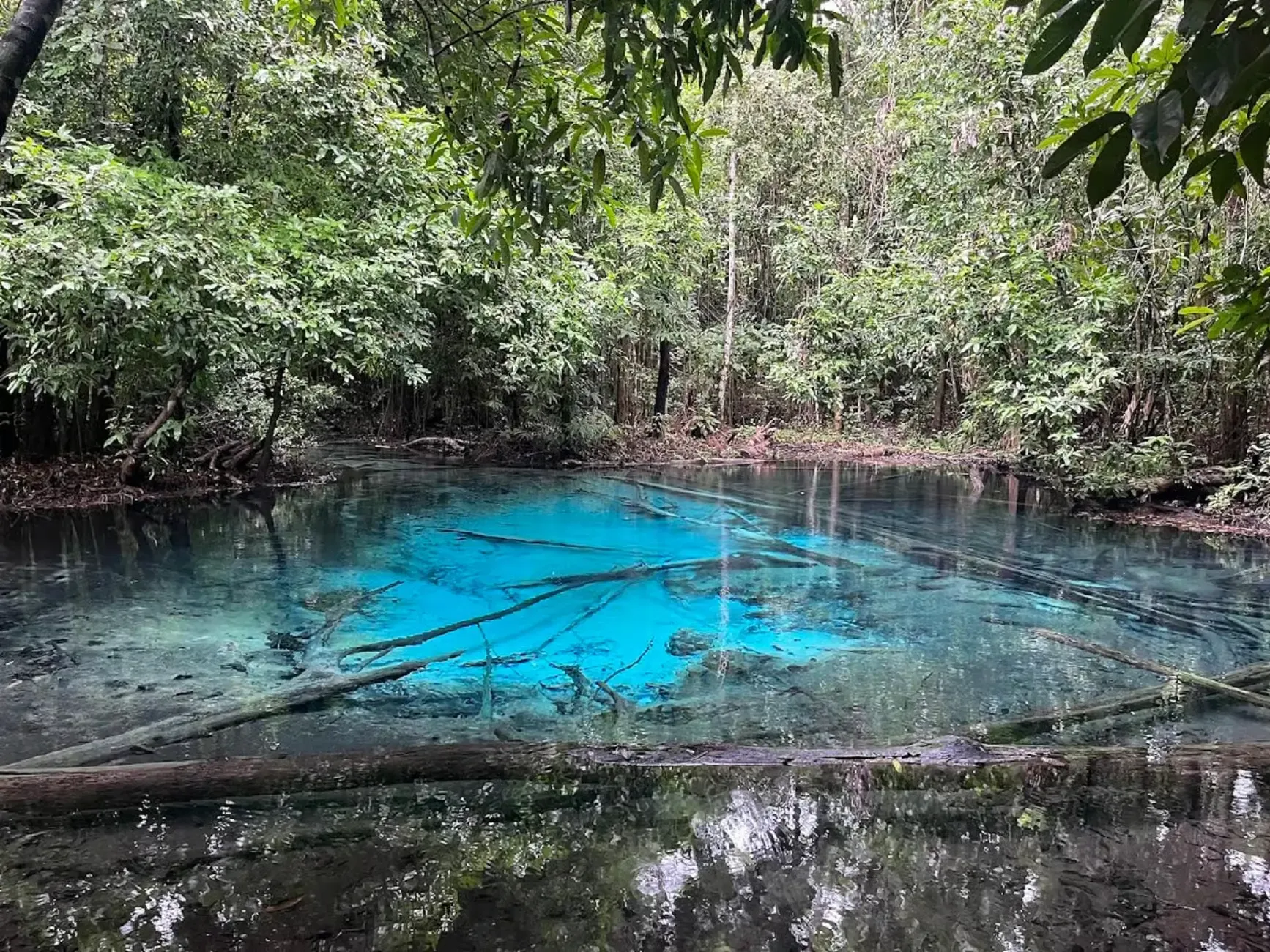 Krabi Tours - Krabi: Emerald Pool, Hot Springs & Tiger Cave Temple Tour - Image 11