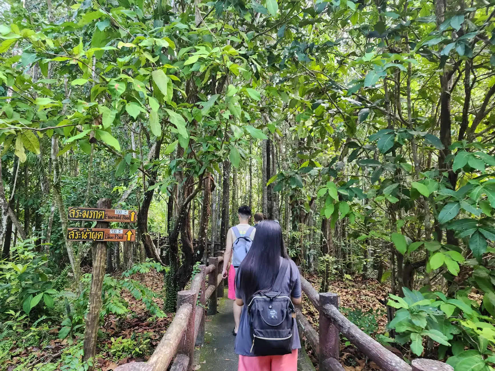 Krabi Tours - Krabi: Emerald Pool, Hot Springs & Tiger Cave Temple Tour - Image 12