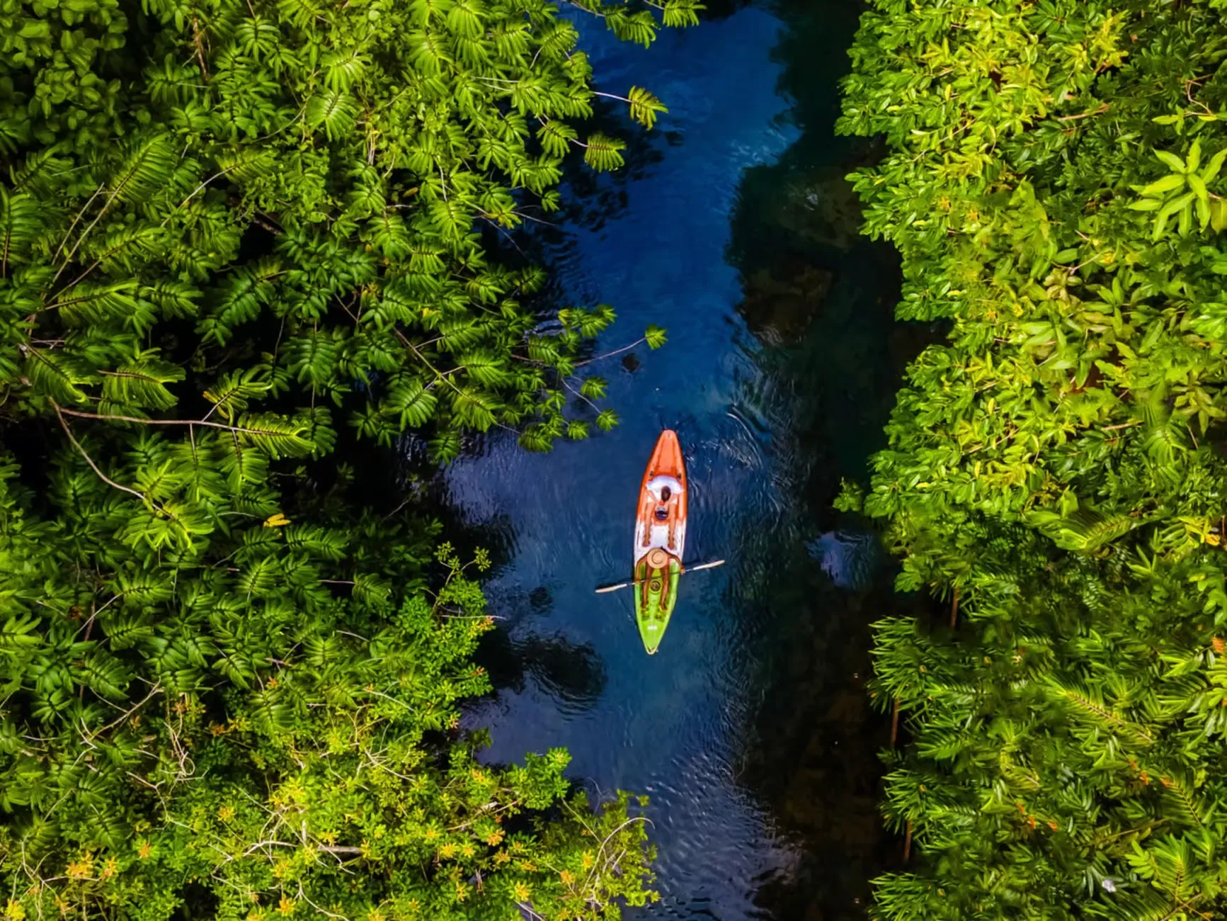 Krabi Tours - Krabi: Kayaking Adventure in Ao Thalane Mangrove Forest - Image 19