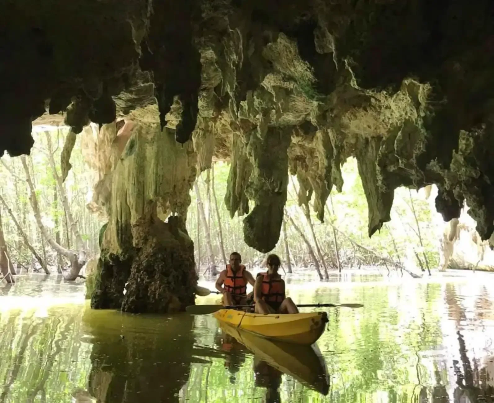 Krabi Tours - Krabi: Kayaking Adventure in Ao Thalane Mangrove Forest - Image 11