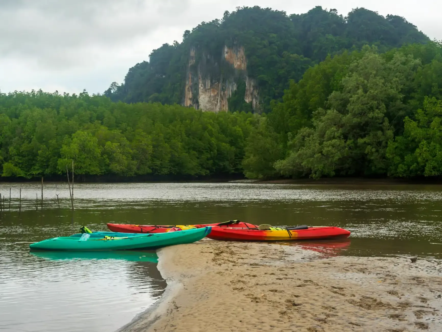 Krabi Tours - Krabi: Kayaking Adventure in Ao Thalane Mangrove Forest - Image 14