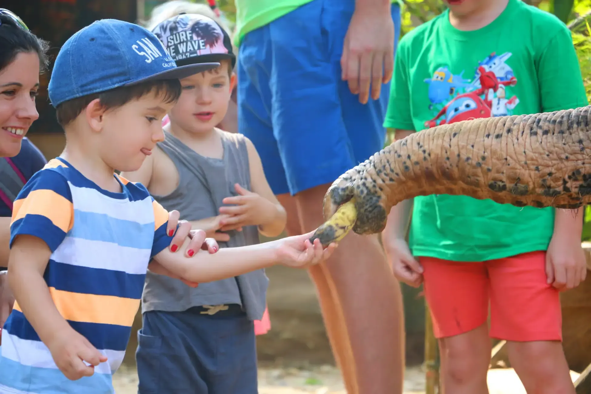 Khao Lak Tours - Khao Lak: Bamboo Rafting, Elephant Care & Turtle Center - Image 9