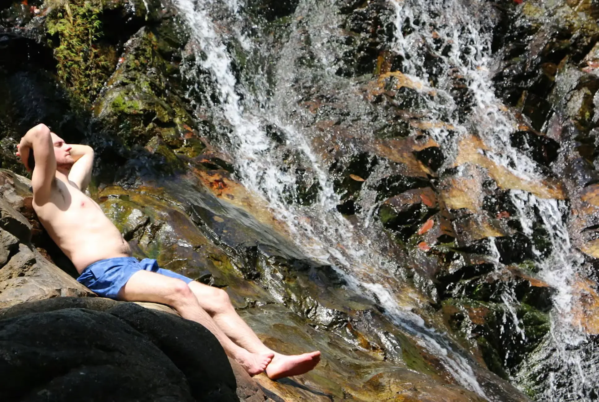 Khao Lak Tours - Khao Lak: Bamboo Rafting, Elephant Care & Turtle Center - Image 15