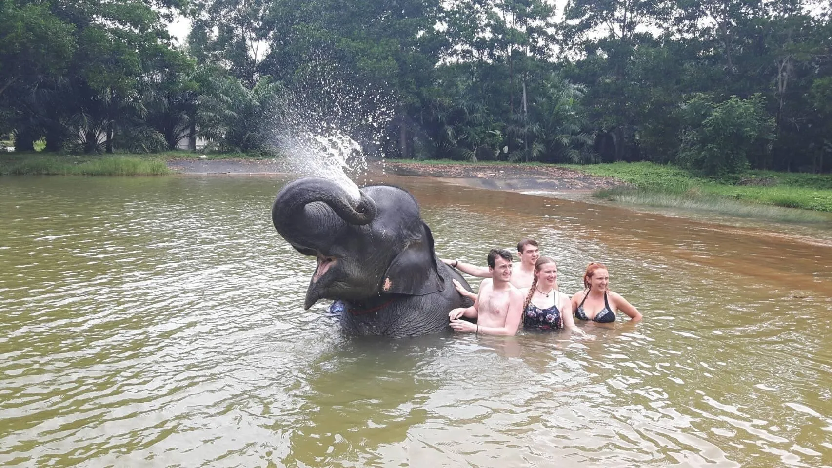 Khao Lak Tours - Khao Lak: Bamboo Rafting, Elephant Care & Turtle Center - Image 7