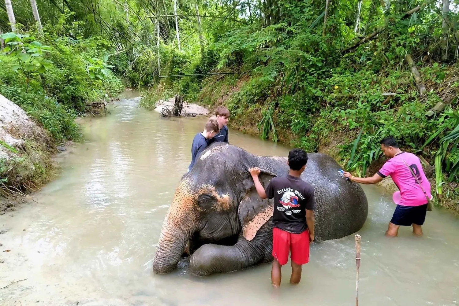 Khao Lak Tours - Khao Lak: Bamboo Rafting, Elephant Care & Turtle Center - Image 6
