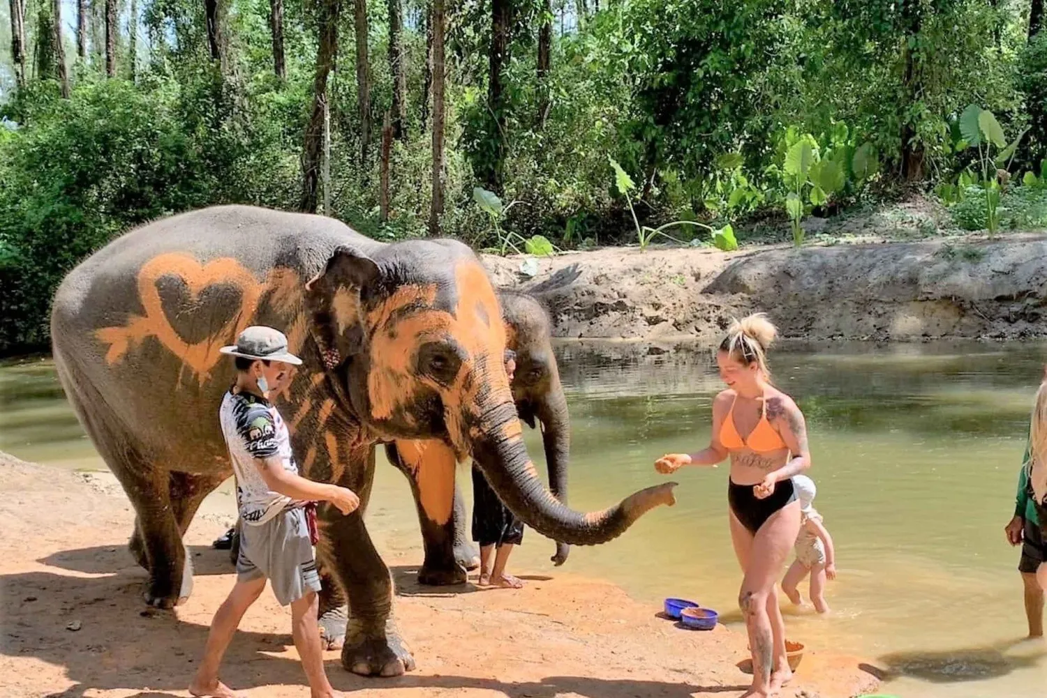 Khao Lak: Bamboo Rafting, Elephant Care & Turtle Center