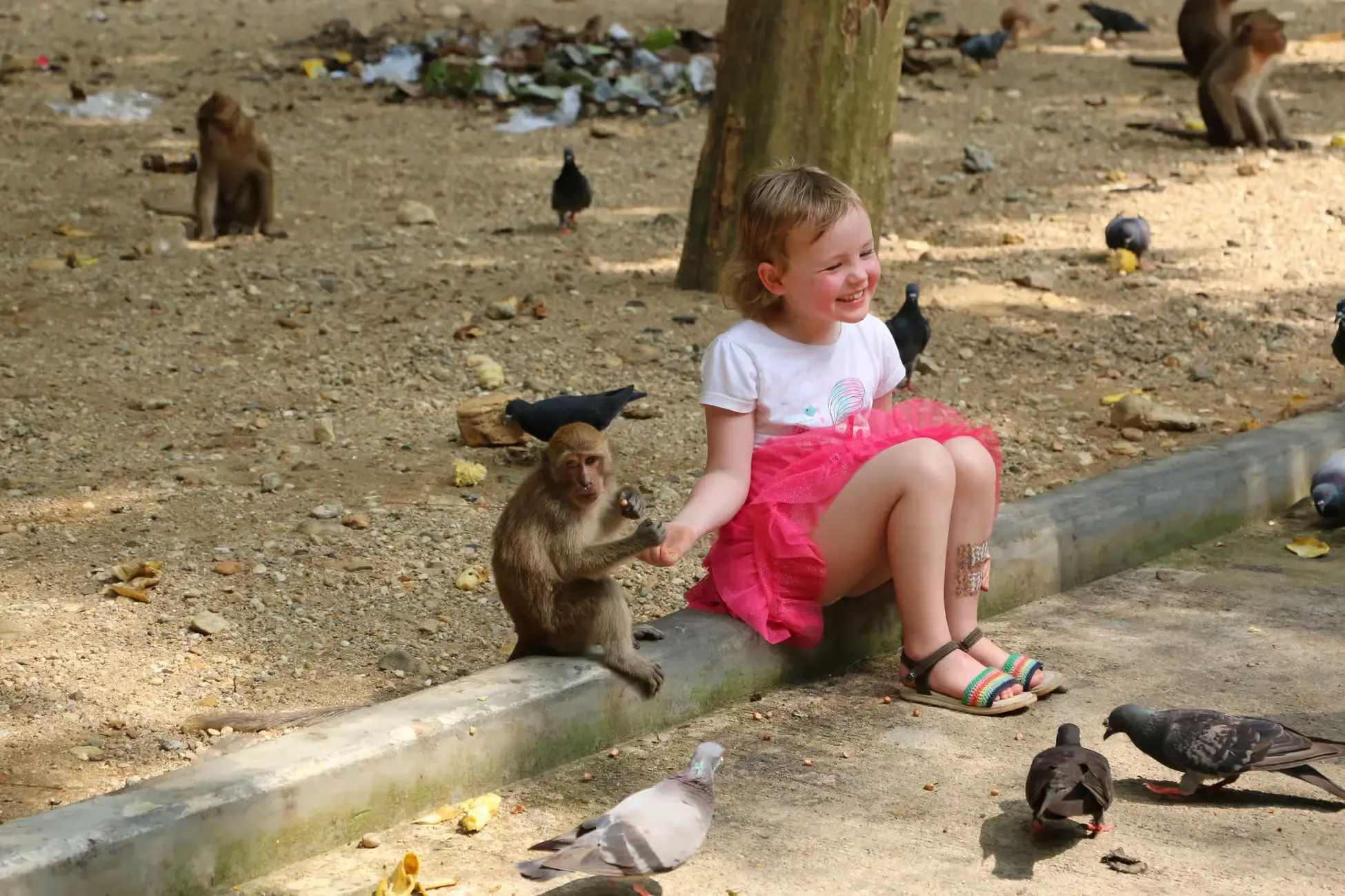 Khao Lak Tours - Khao Lak: James Bond Island & Phang Nga Bay Longtail Cruise - Image 16