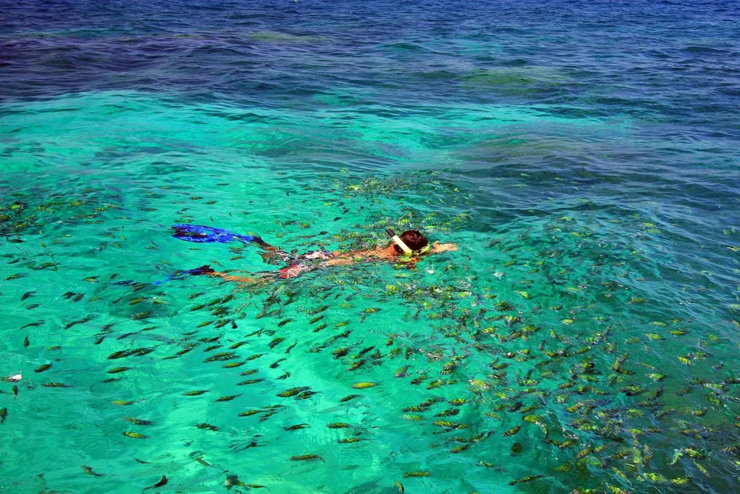 Phuket Tours - Phuket/Khaolak: Similan Islands Early Access Tour - Image 6