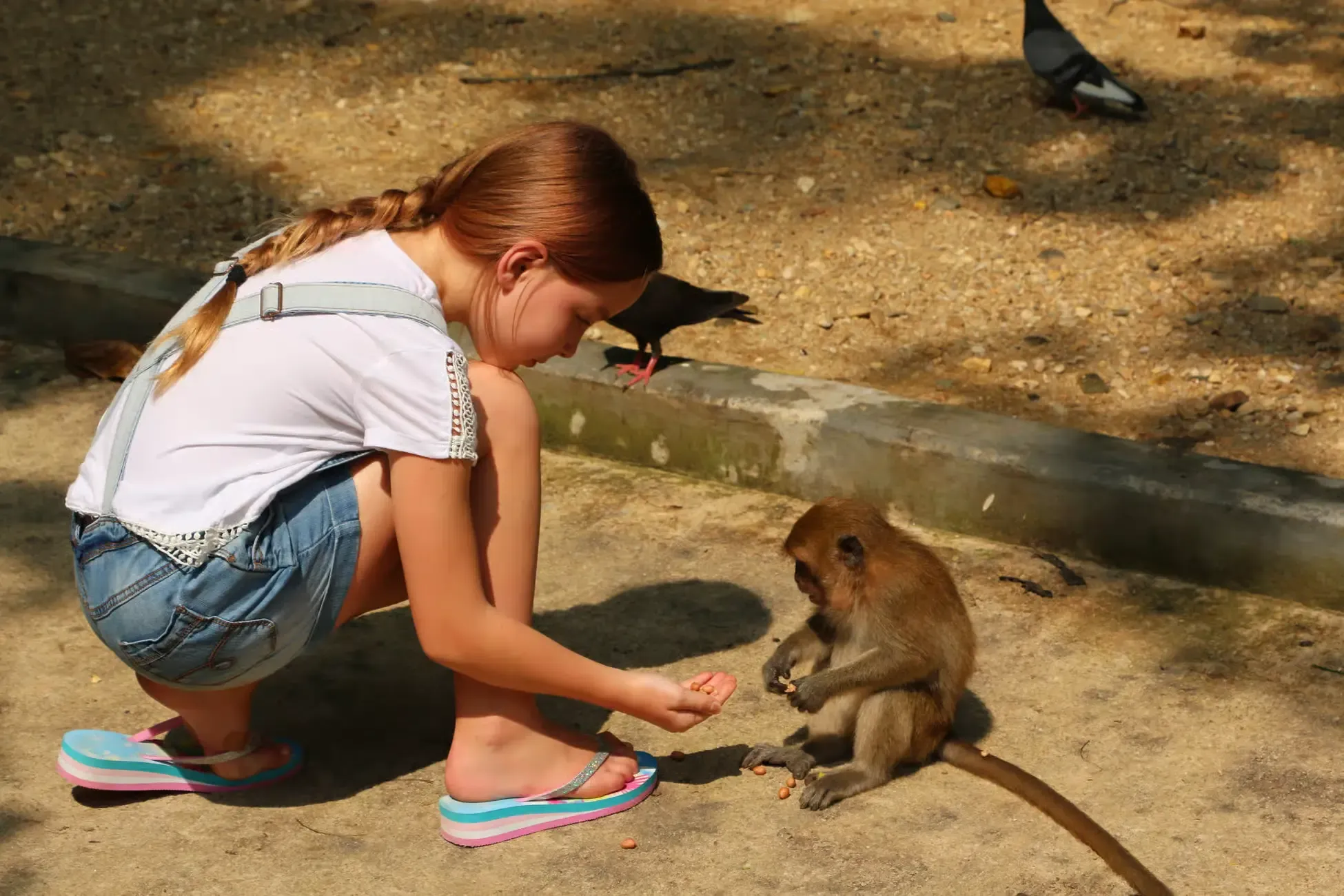 Khao Lak Tours - Khao Lak: Full-Day Temple Discovery & Dragon Cave Experience - Image 12