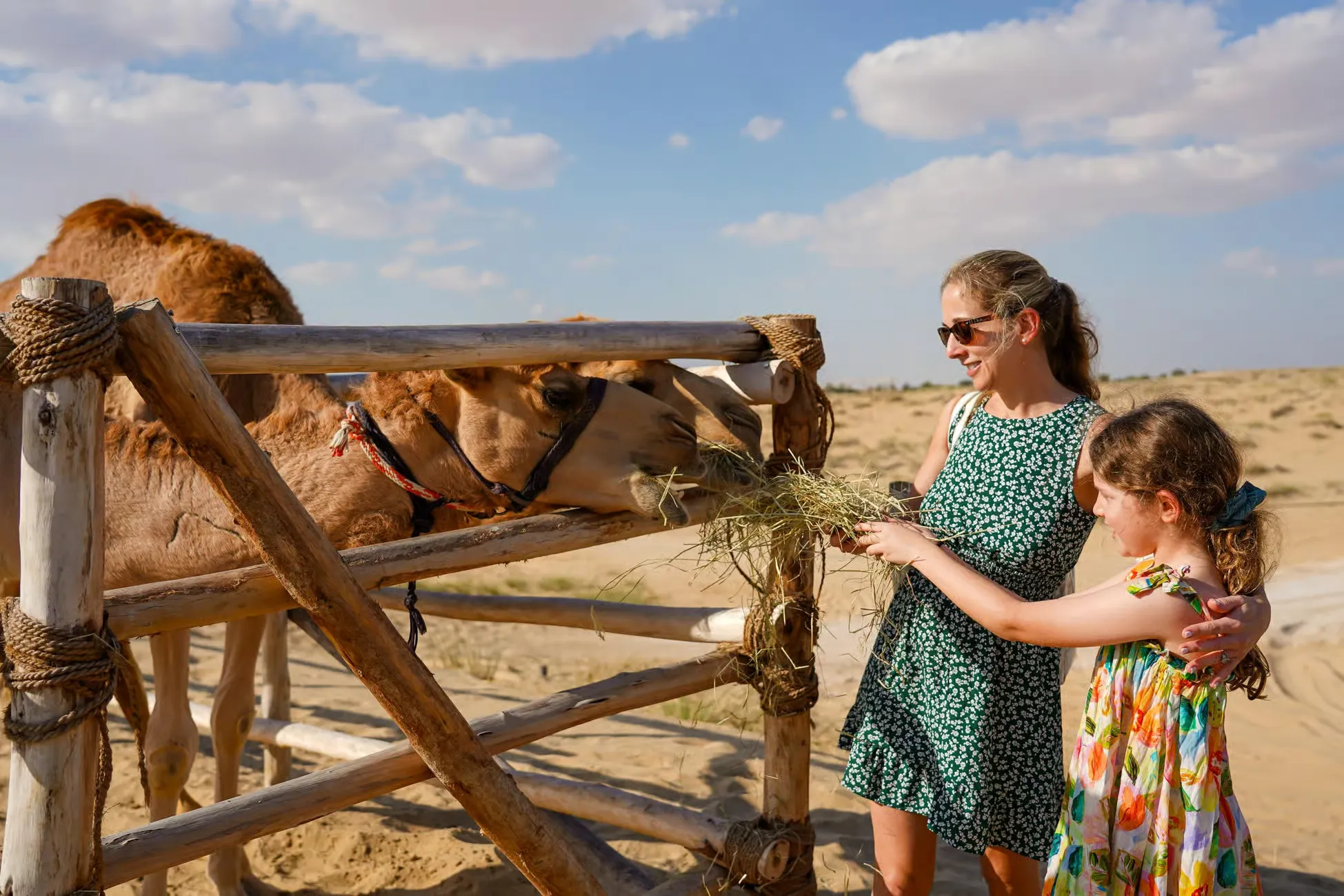Dubai Tours - Desert Safari with Quad Bike, Camel Ride & Camp - Image 16