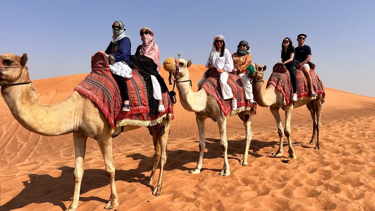Dubai Tours - Dubai: Red Dunes Safari with Camel Ride & Quad Options - Image 8