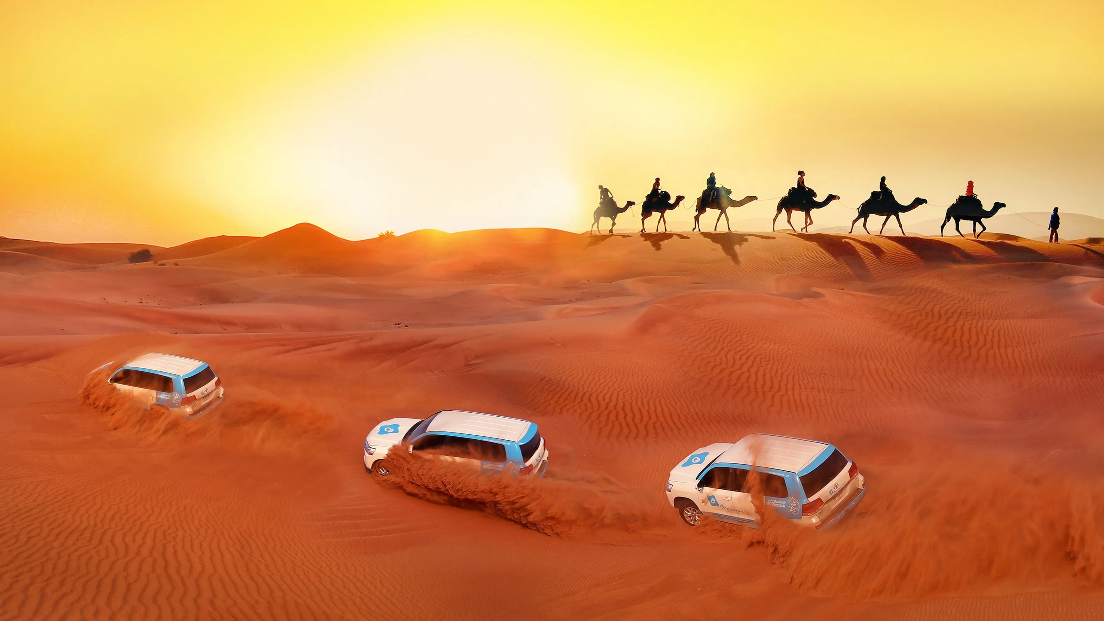 Dubai Tours - Dubai: Overnight Desert Safari with Stargazing & Camp Stay - Image 7
