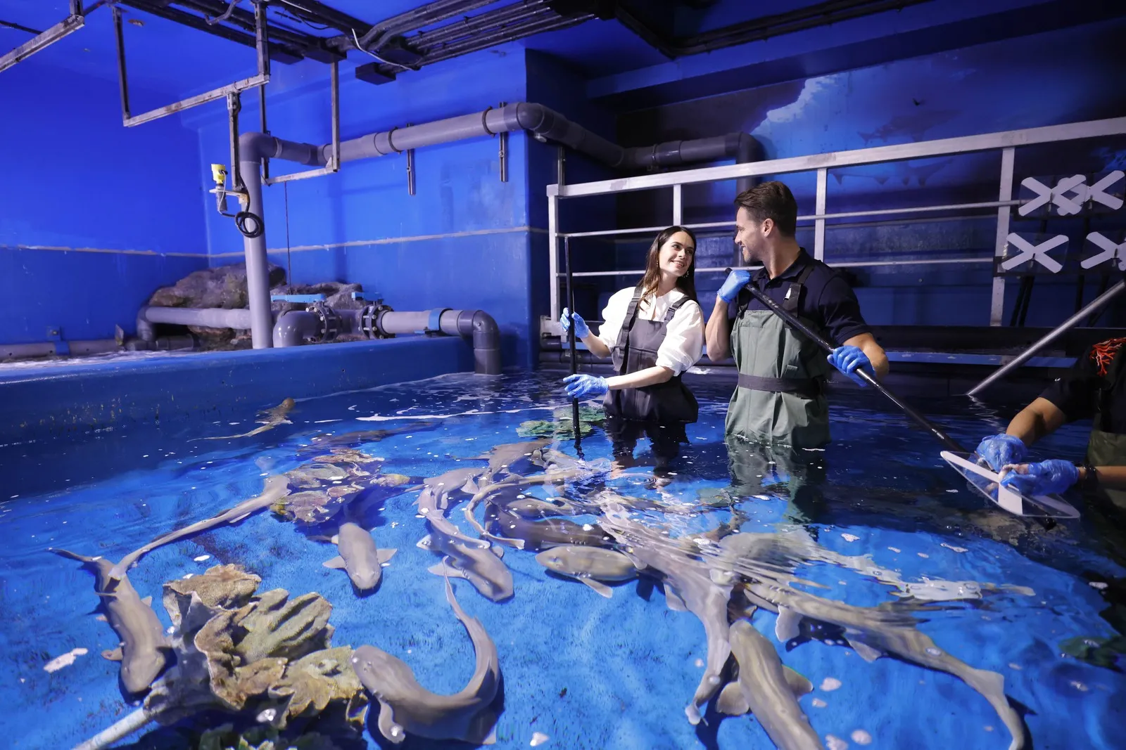 Dubai Tours - Dubai: Aquarium & Underwater Zoo Discovery Ticket - Image 8