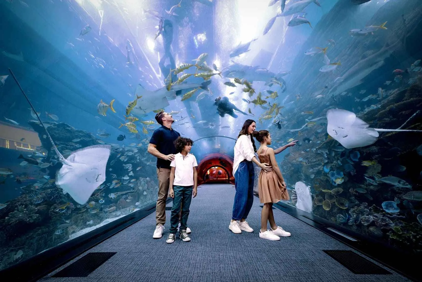 Dubai Tours - Dubai: Aquarium & Underwater Zoo Discovery Ticket - Image 6