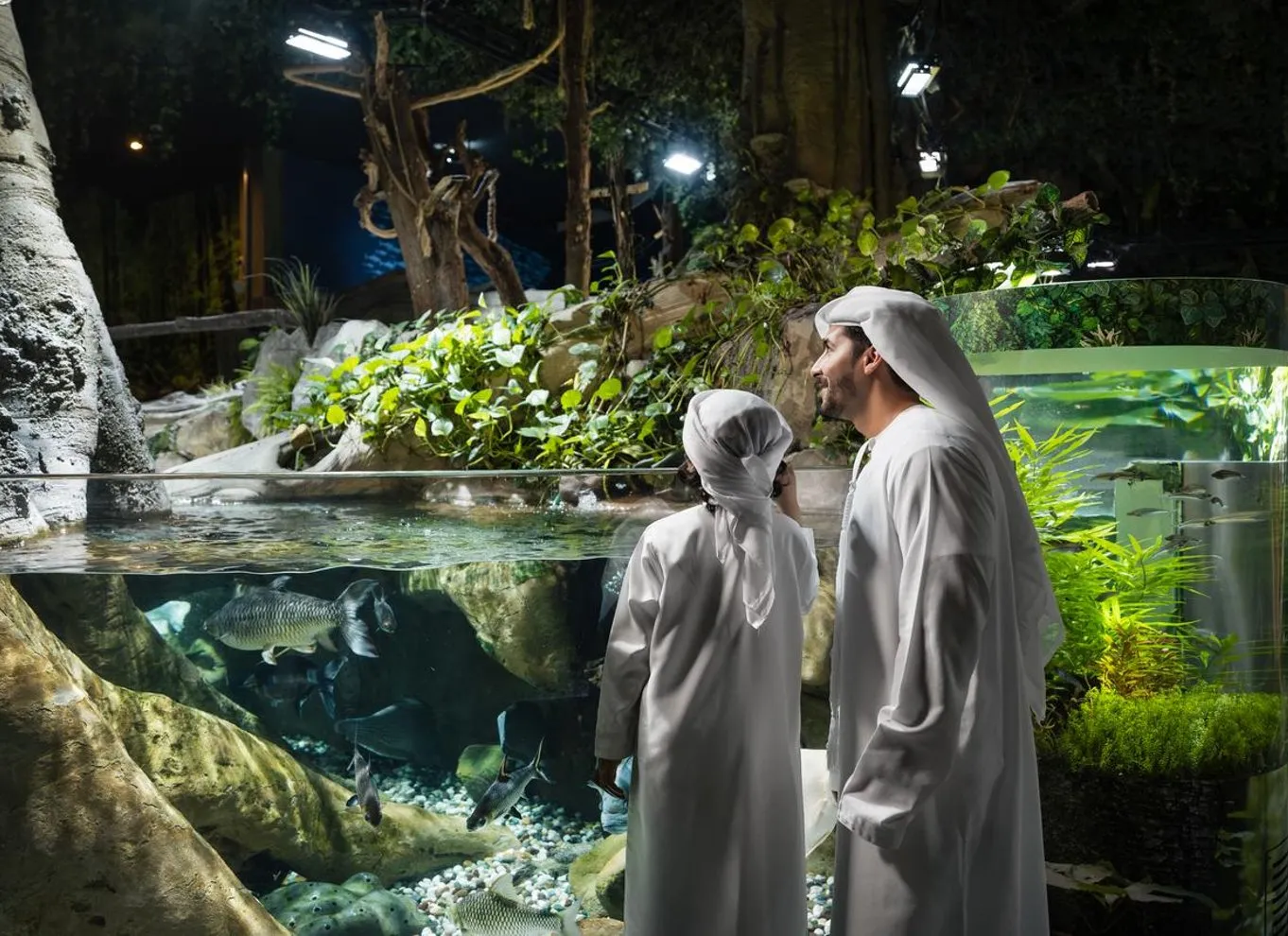 Dubai Tours - Dubai: Aquarium & Underwater Zoo Discovery Ticket - Image 9