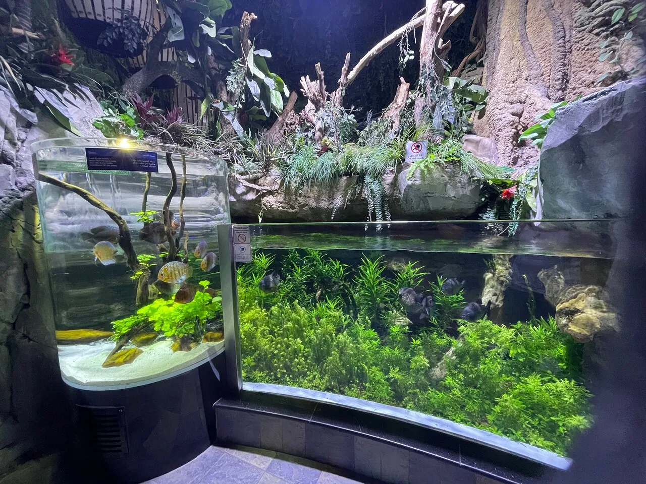 Dubai Tours - Dubai: Aquarium & Underwater Zoo Discovery Ticket - Image 12