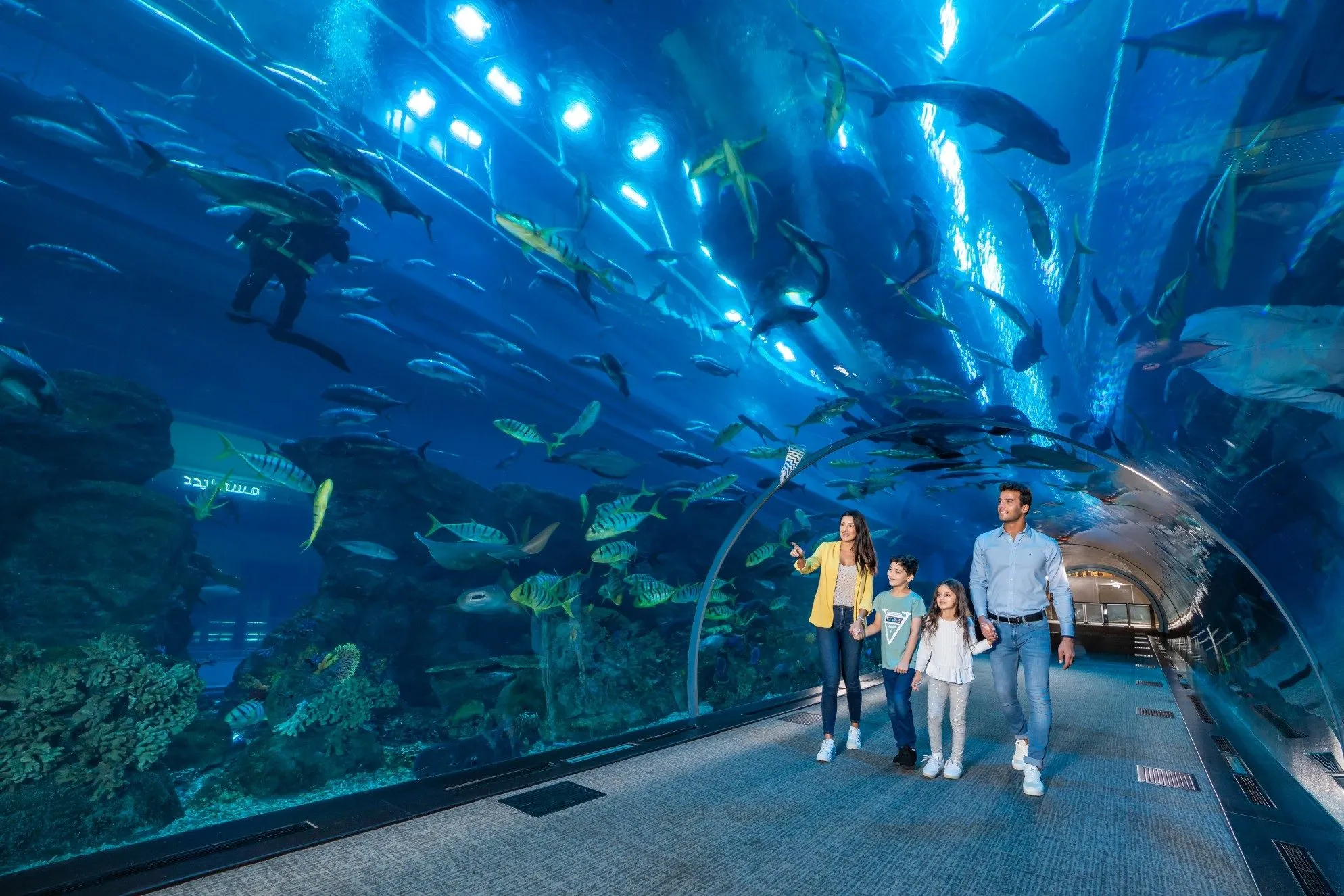Dubai Tours - Dubai: Aquarium & Underwater Zoo Discovery Ticket - Image 14