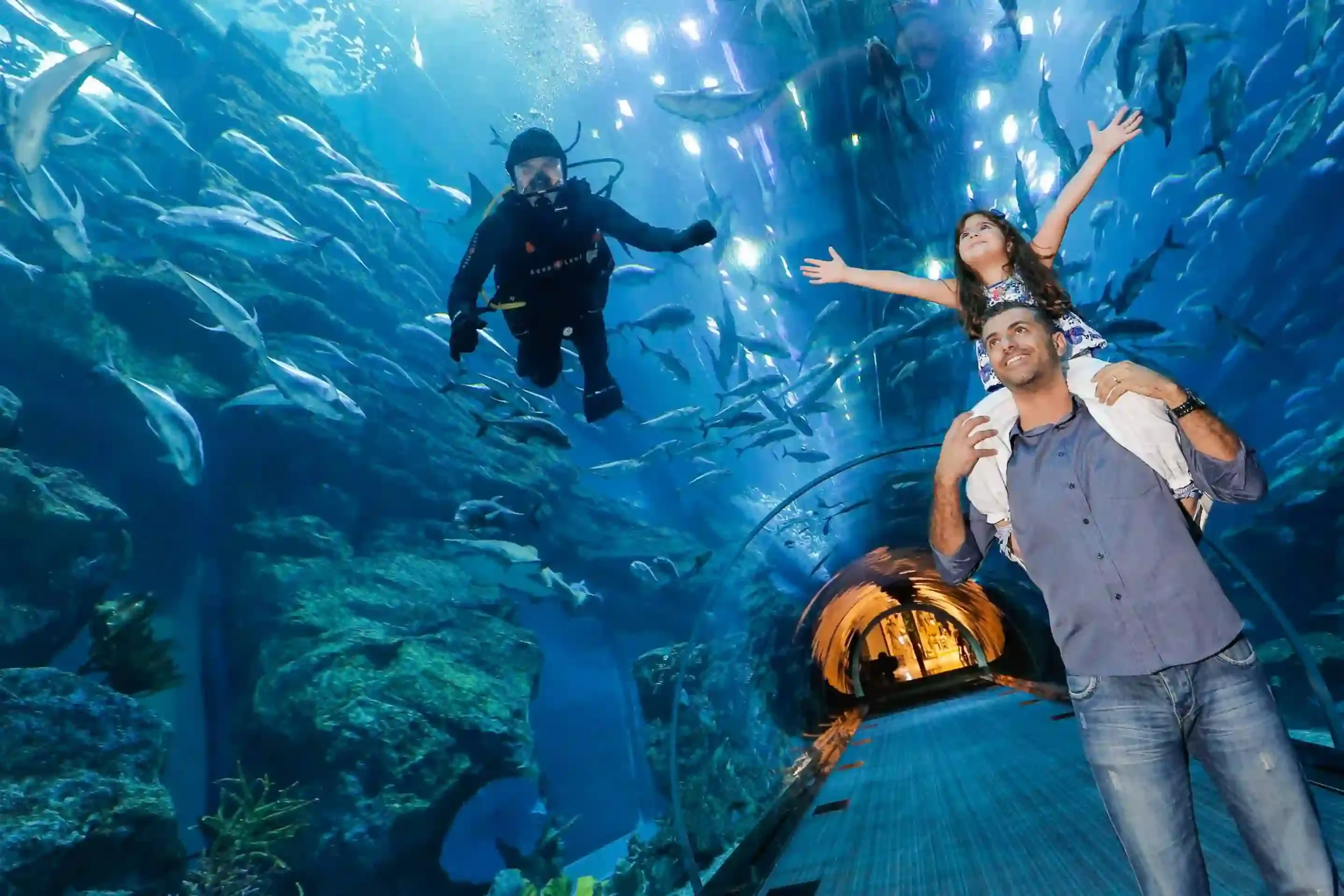 Dubai Tours - Dubai: Aquarium & Underwater Zoo Discovery Ticket - Image 11