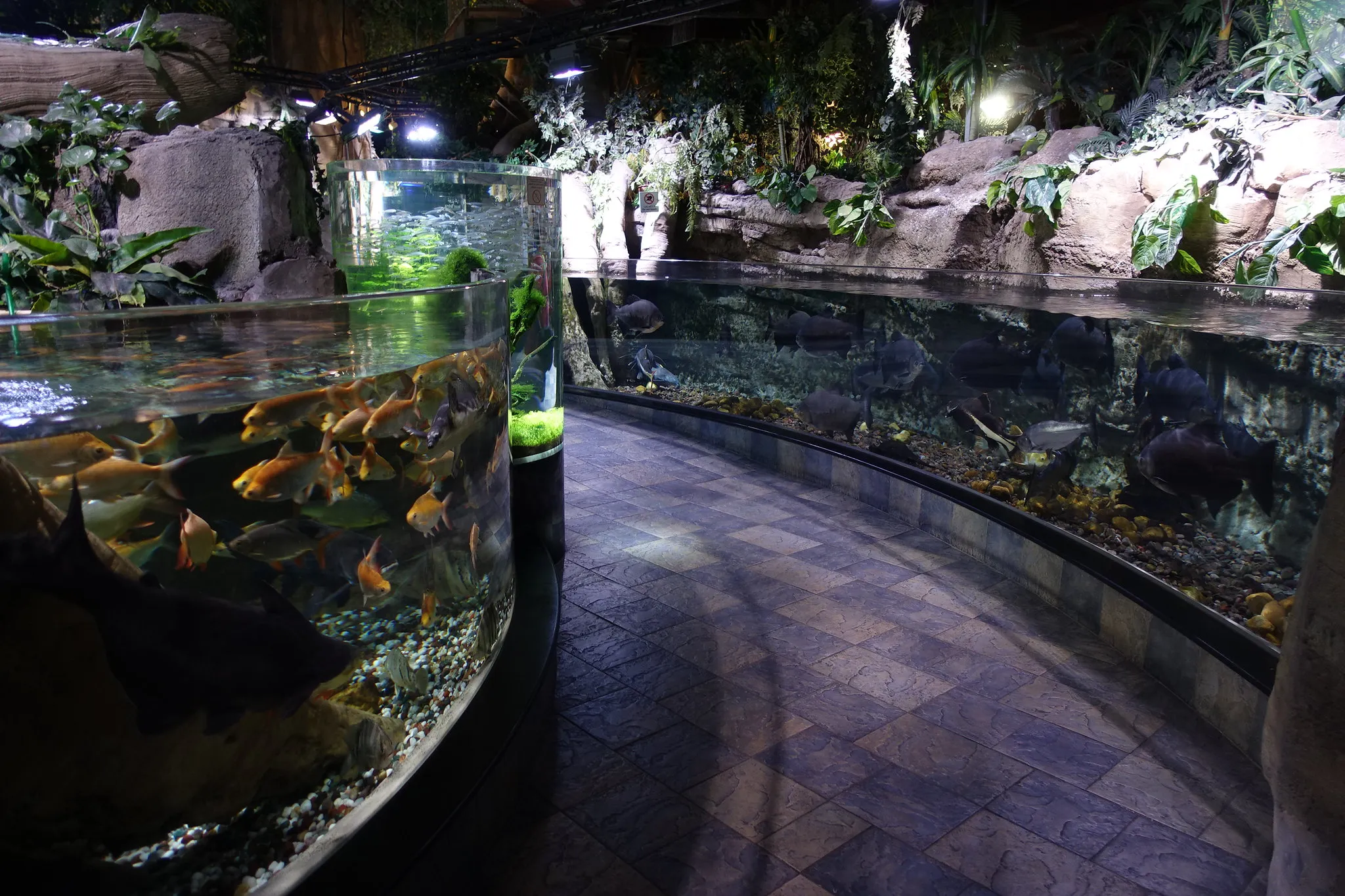 Dubai Tours - Dubai: Aquarium & Underwater Zoo Discovery Ticket - Image 15