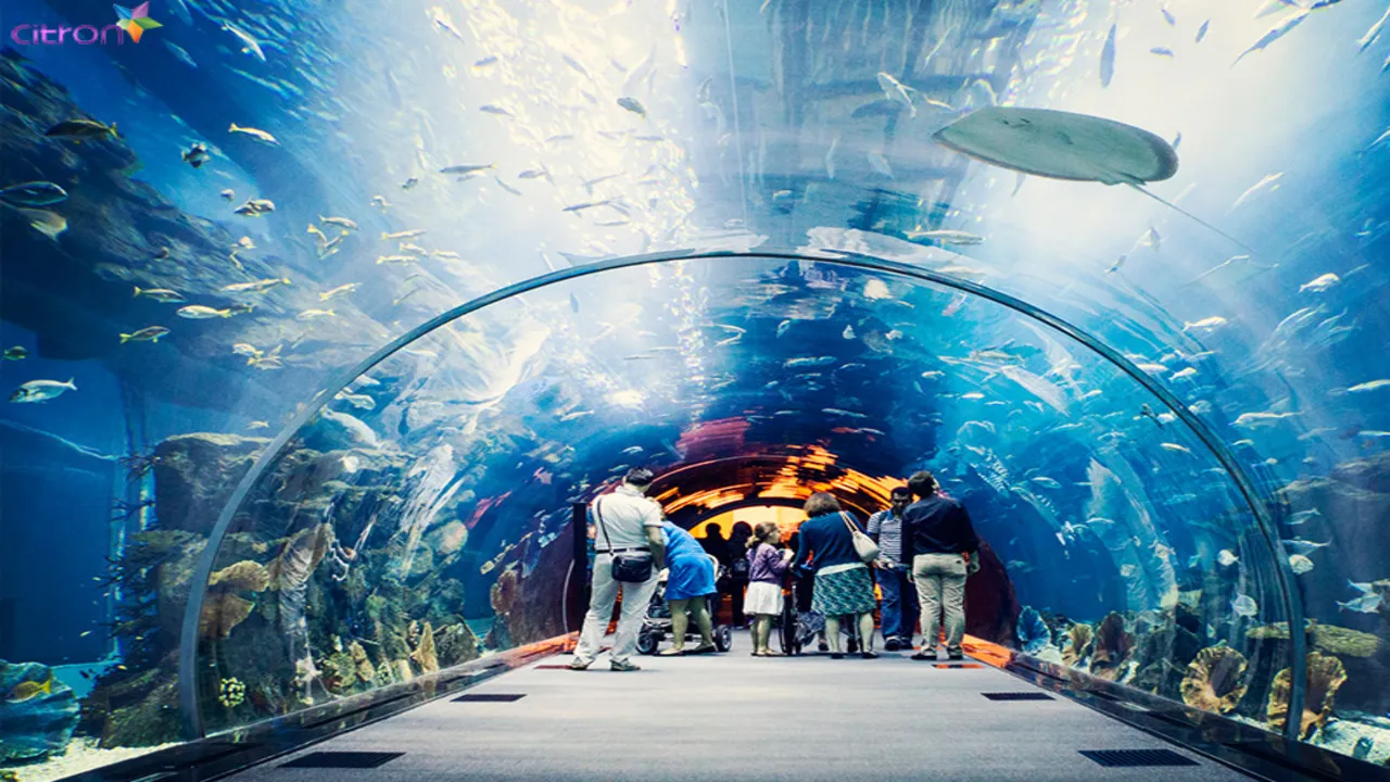 Dubai Tours - Dubai: Aquarium & Underwater Zoo Discovery Ticket - Image 2