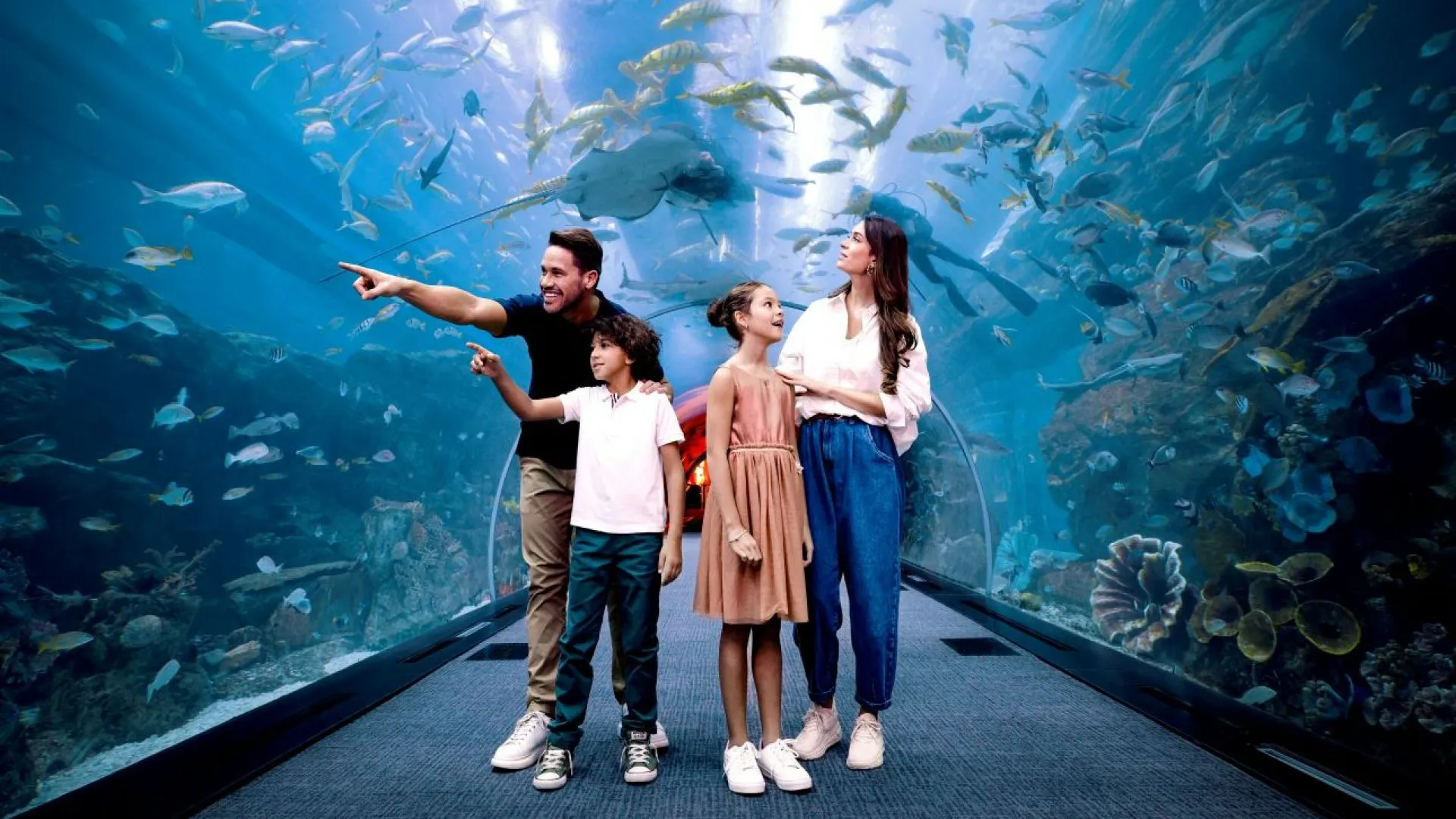 Dubai Tours - Dubai: Aquarium & Underwater Zoo Discovery Ticket - Image 7