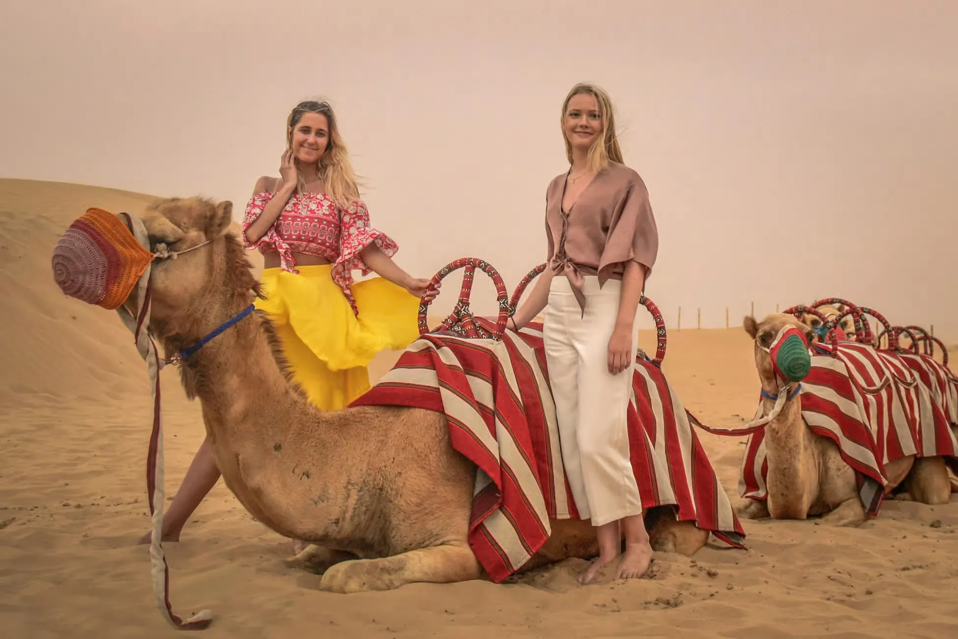 Abu Dhabi Tours - Abu Dhabi: Evening Desert Safari with BBQ & Starry Dinner - Image 2