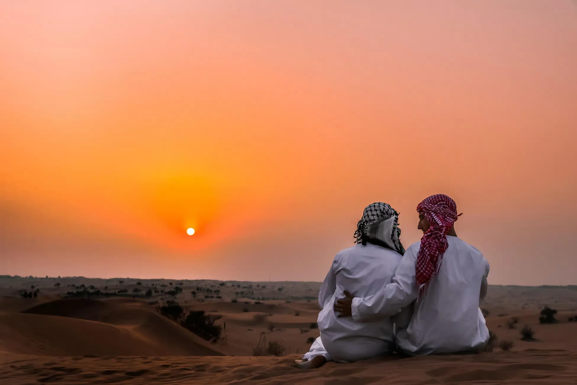 Abu Dhabi: Evening Desert Safari with BBQ & Starry Dinner