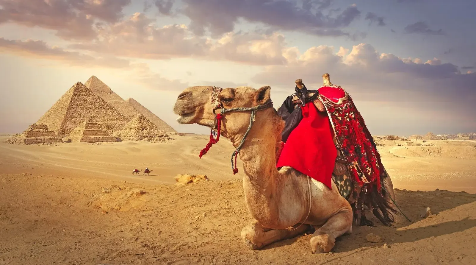 Cairo Tours - Cairo: Private Giza Pyramids & Sphinx Tour with Camel Ride - Image 2
