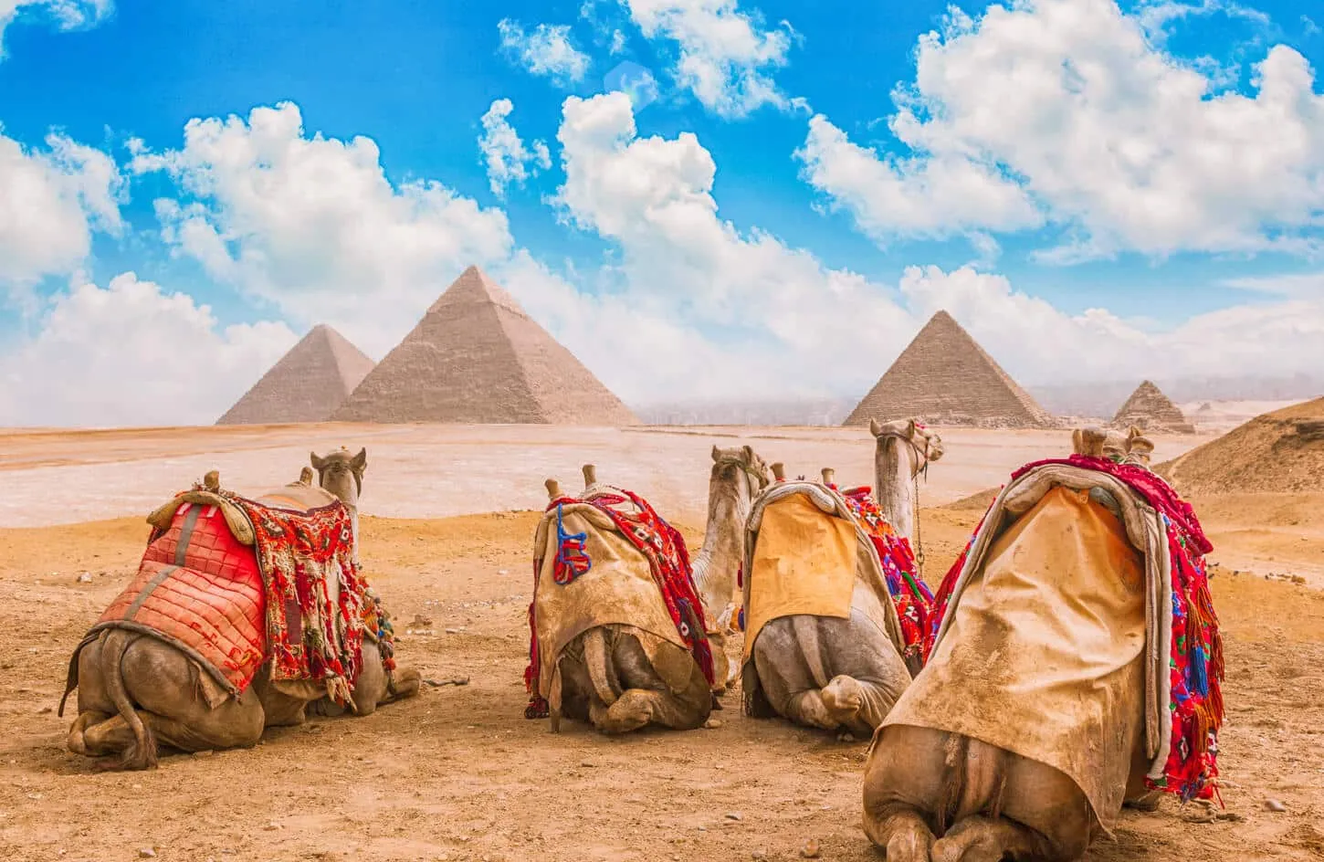 Cairo Tours - Cairo: Private Giza Pyramids & Sphinx Tour with Camel Ride - Image 5