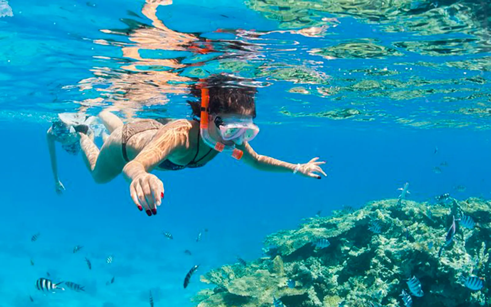 Hurghada Tours - Hurghada: Hula Hula Speedboat w/ Optional Snorkeling & Lunch - Image 9