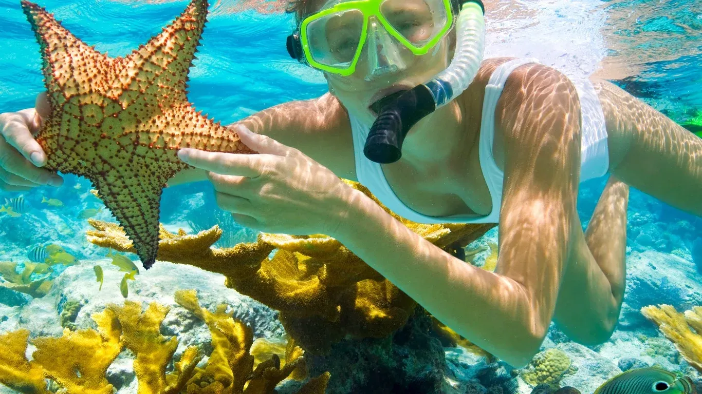 Hurghada Tours - Hurghada: Hula Hula Speedboat w/ Optional Snorkeling & Lunch - Image 11